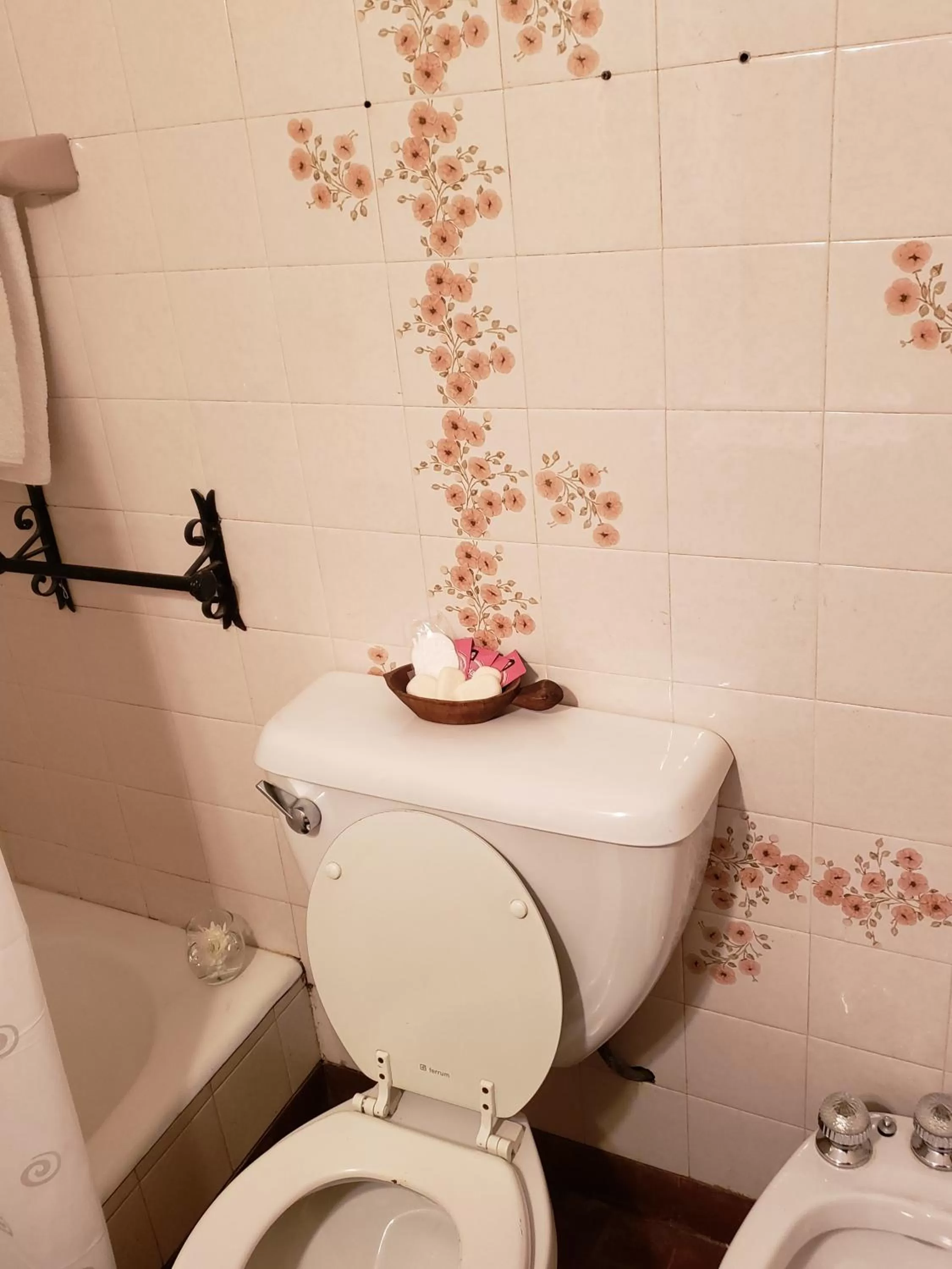 Toilet, Bathroom in Posta del Ángel - Salta