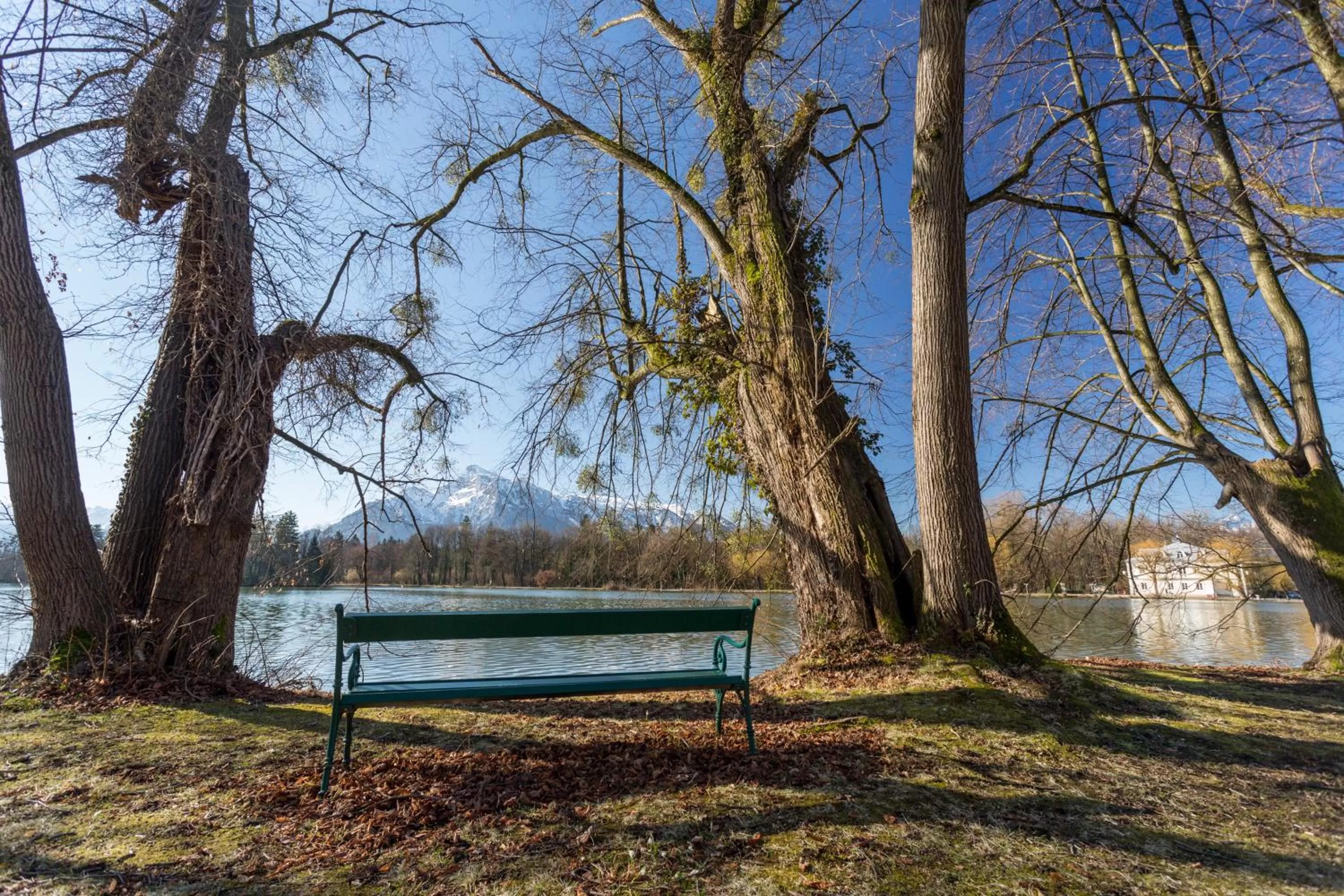 Garden in Hotel Schloss Leopoldskron