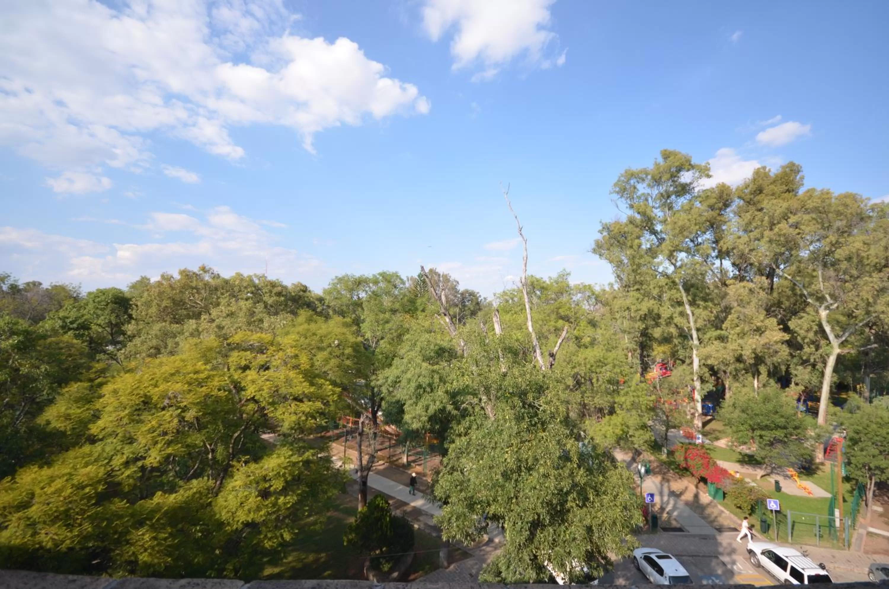 Natural landscape in Hotel Diana del Bosque by DOT Urban