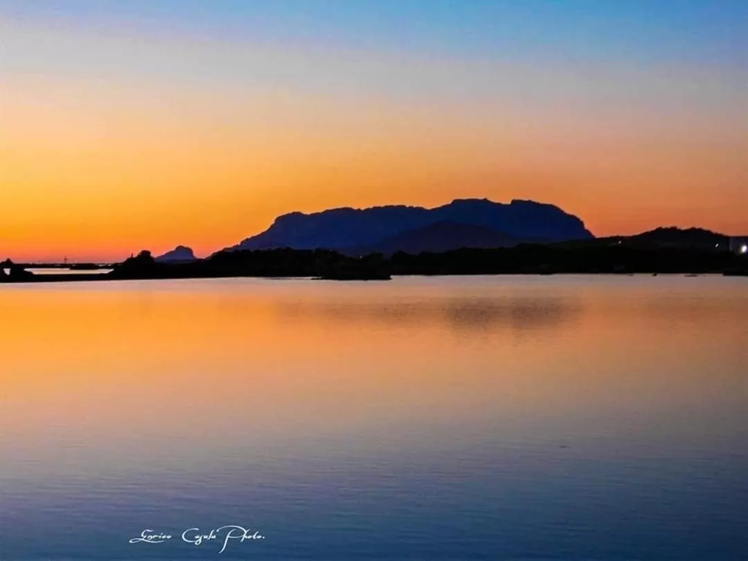 Location in Domus de Diana