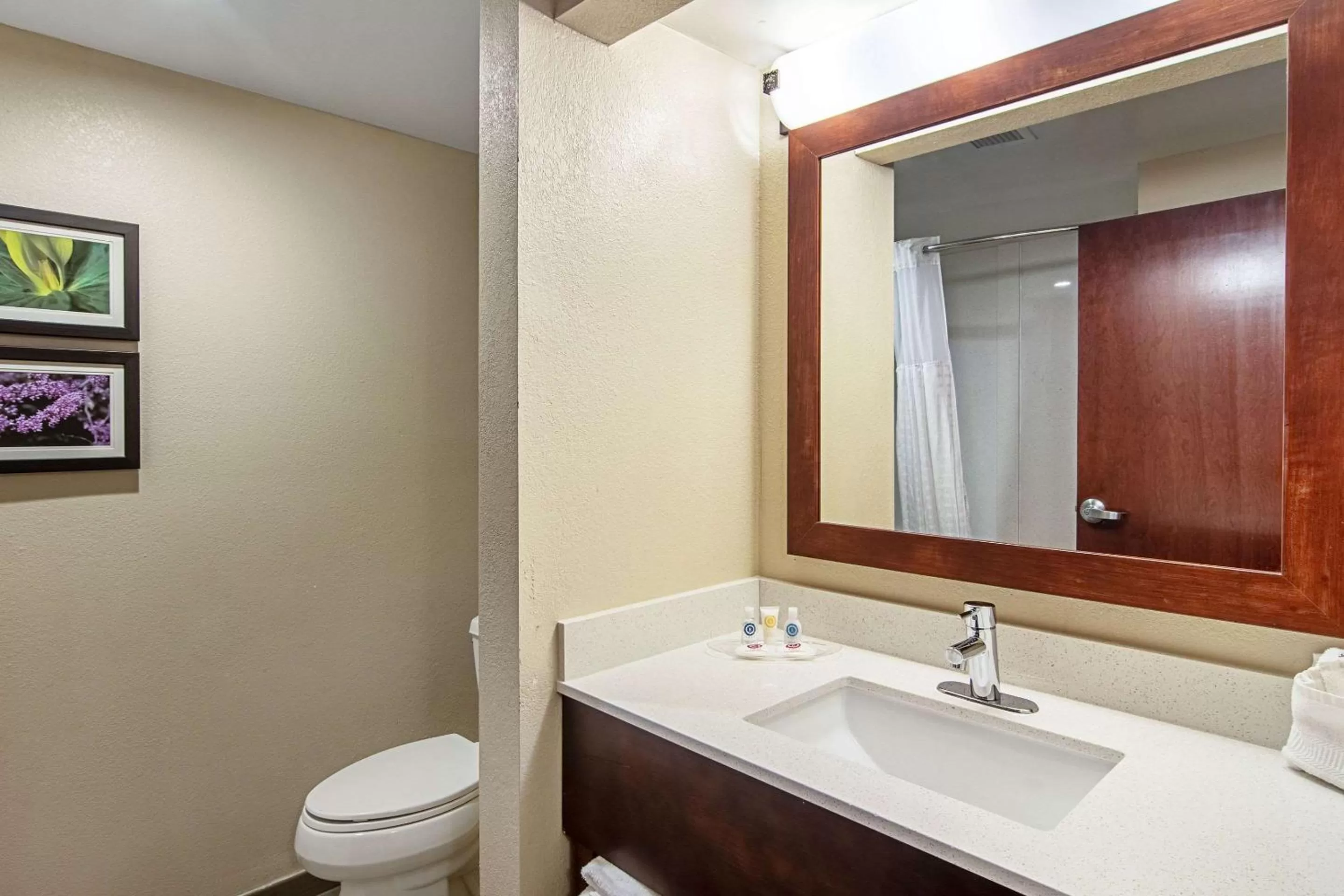 Bathroom in Comfort Suites Knoxville Airport