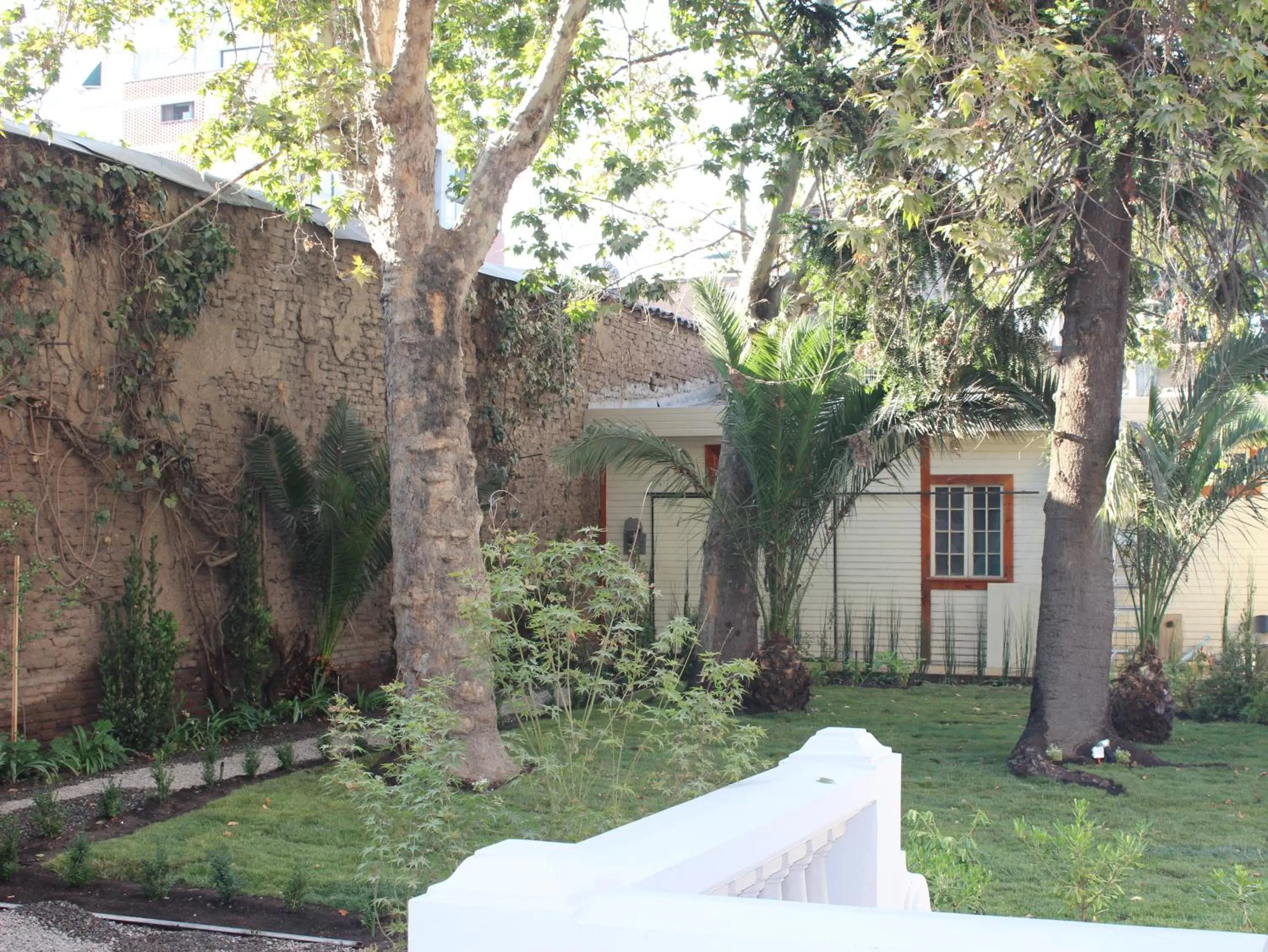 Garden in Matildas Hotel Boutique