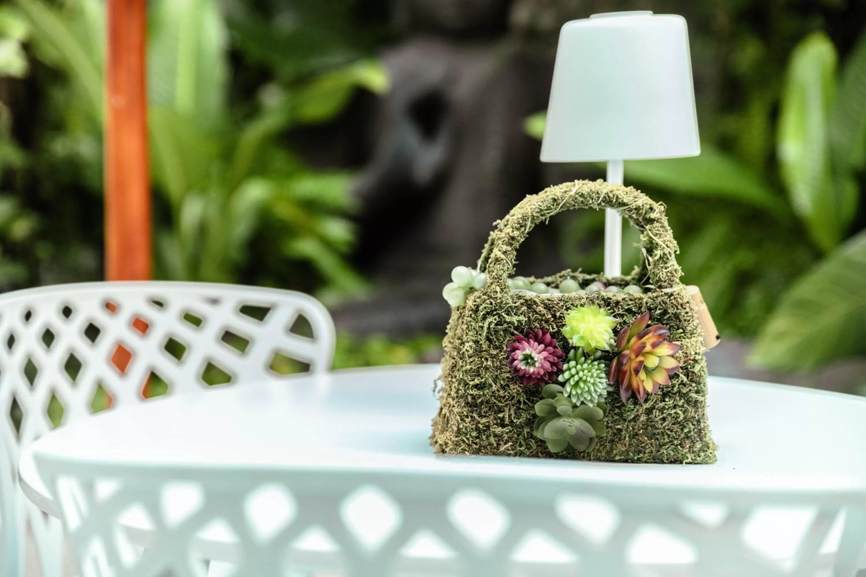 Garden in Casa Diluca Cartagena Hotel Boutique