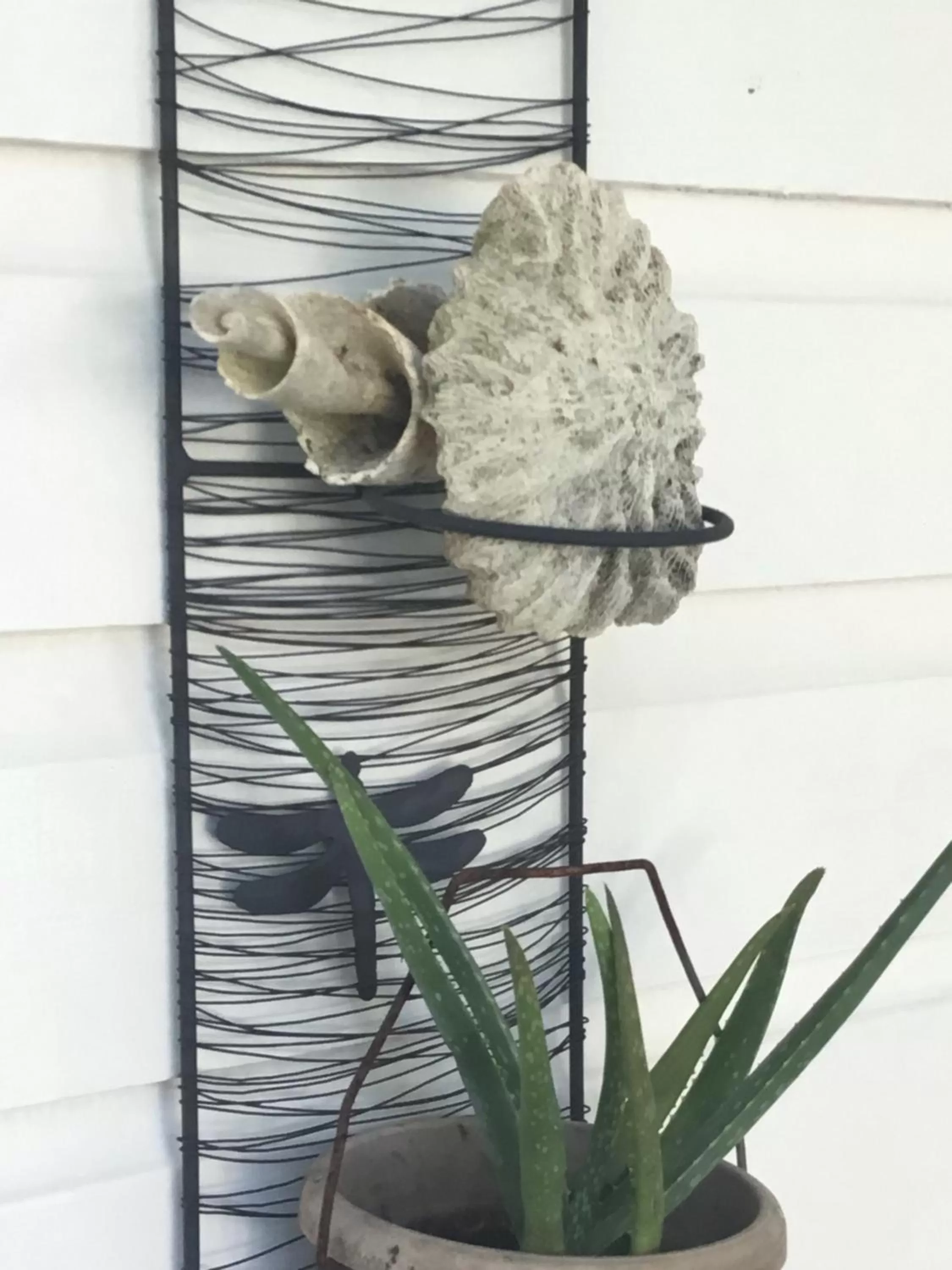 Decorative detail, Food in RIVA B&B