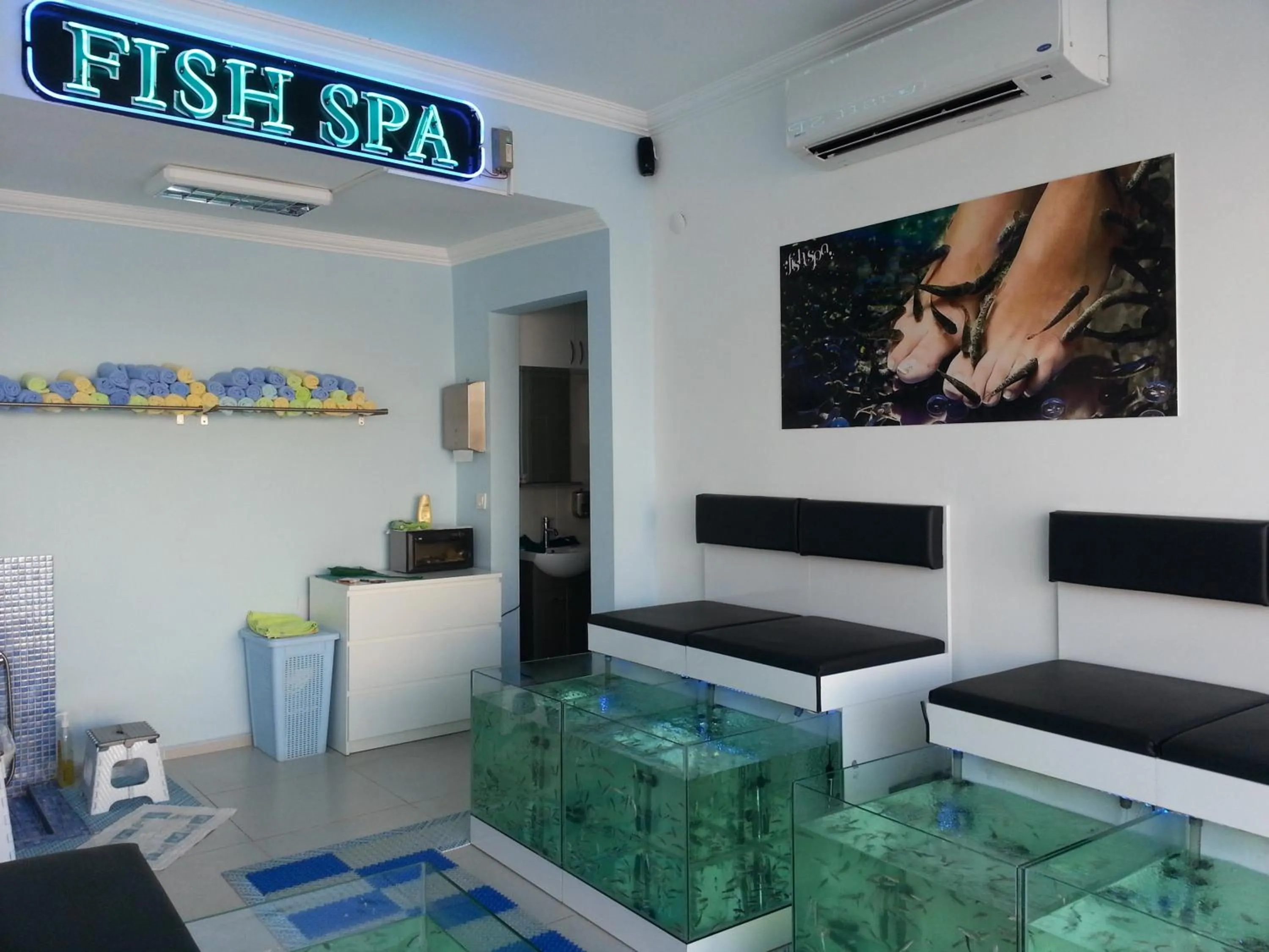 Activities in Reis Maris Hotel