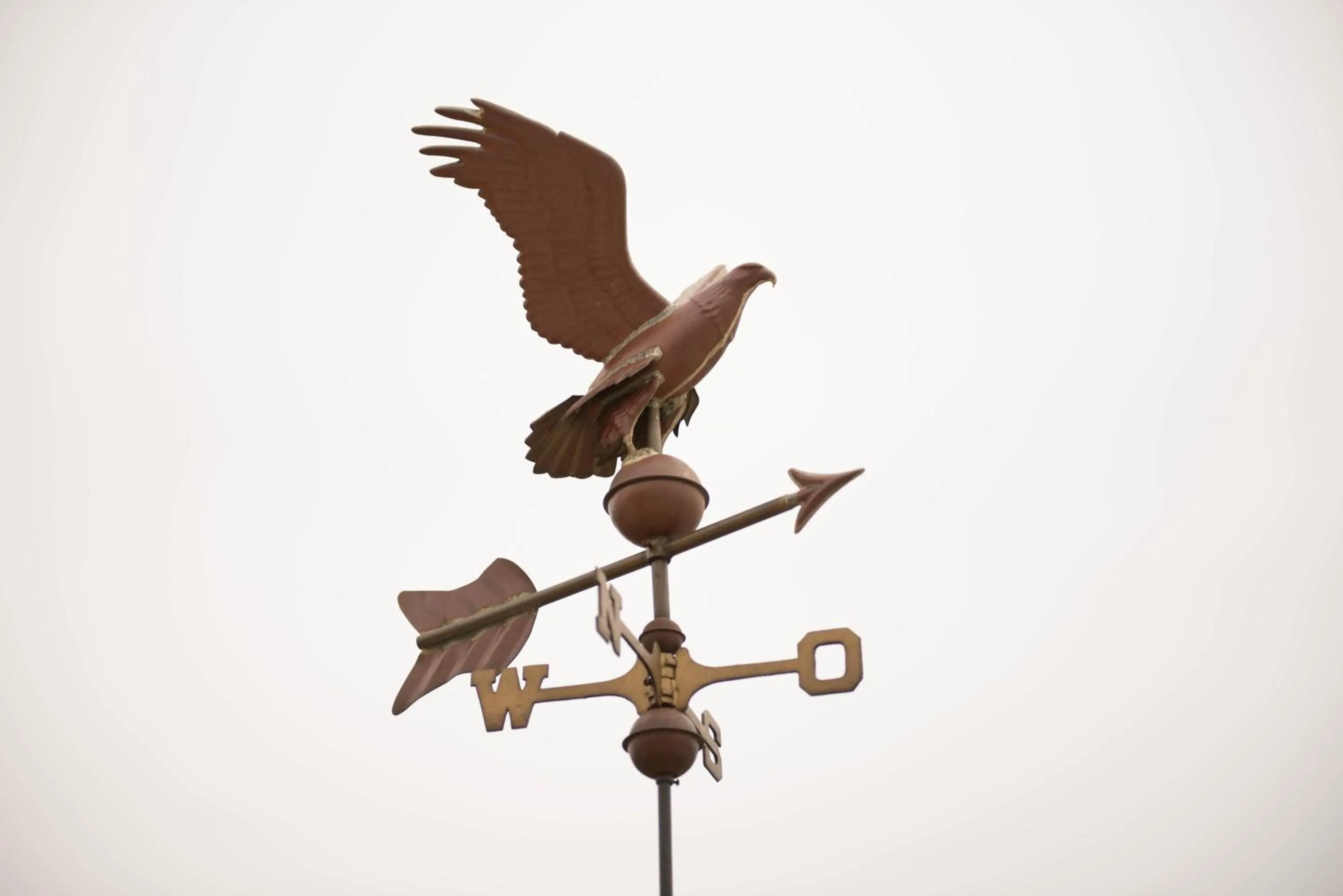 Animals in Resort La Corte Dell'Astore - Wild in Style Resort