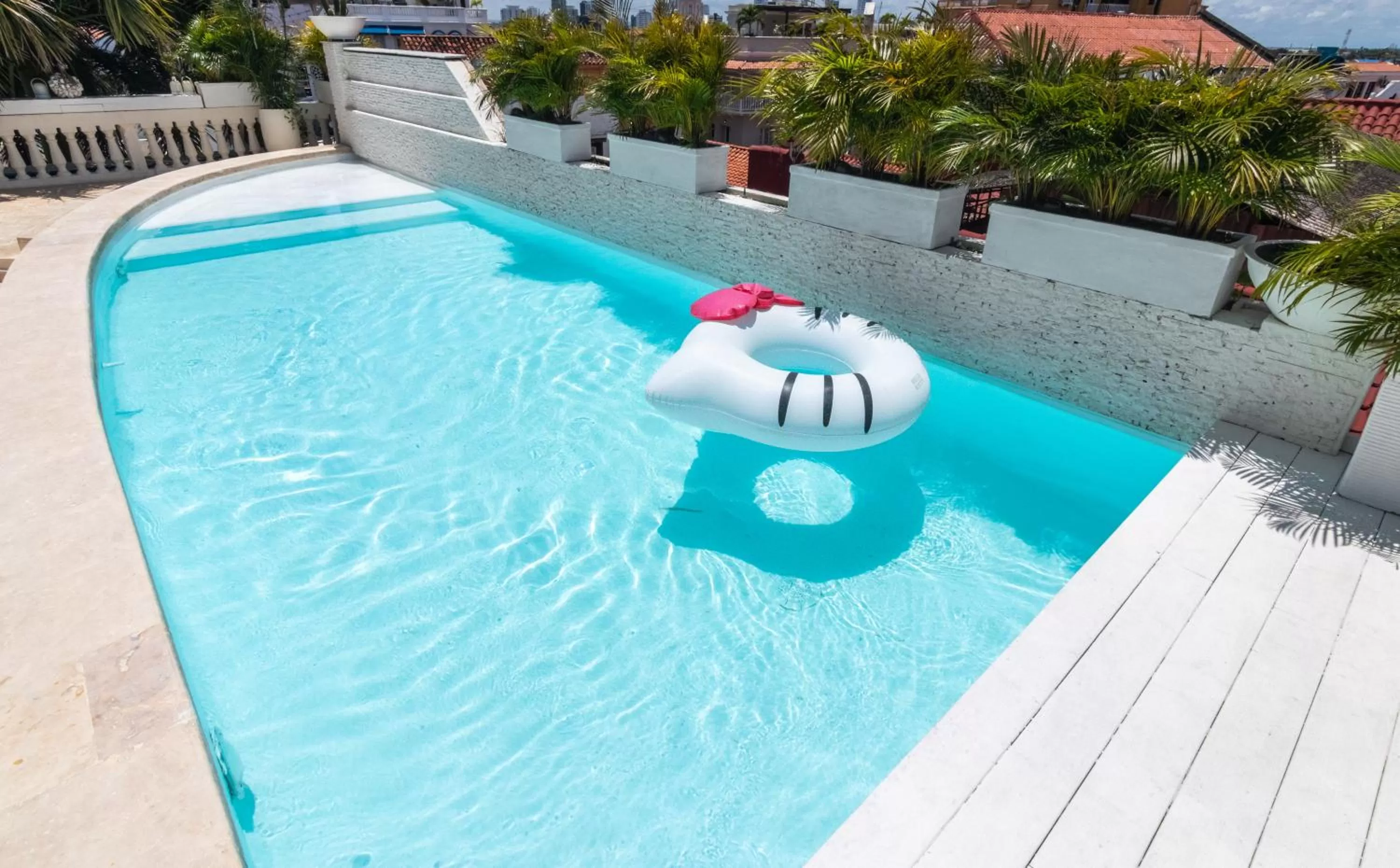 Swimming pool in Casa Diluca Cartagena Hotel Boutique