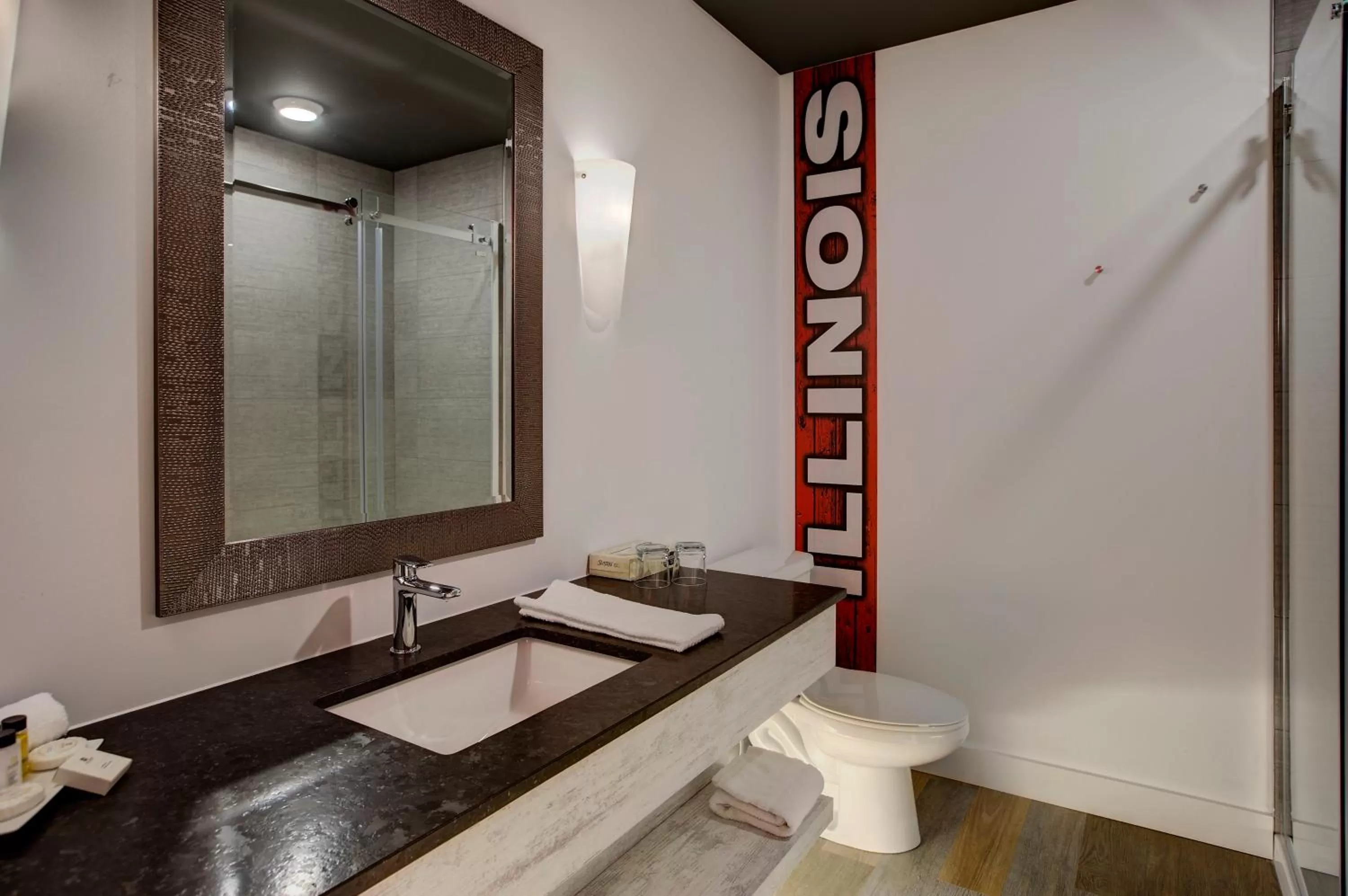 Bathroom in Hotel Historique Route 66