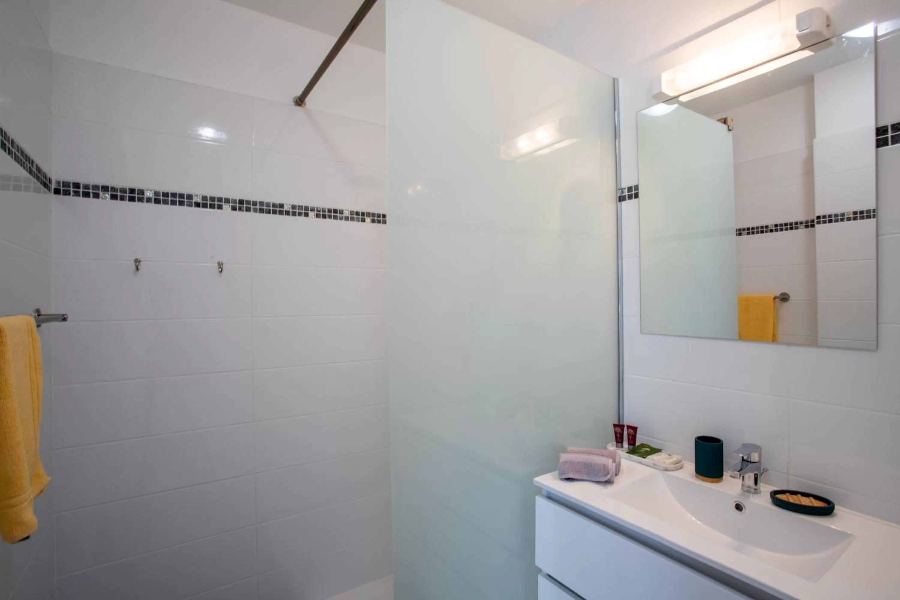 Shower in Hôtel Guadeloupe Palm Suites