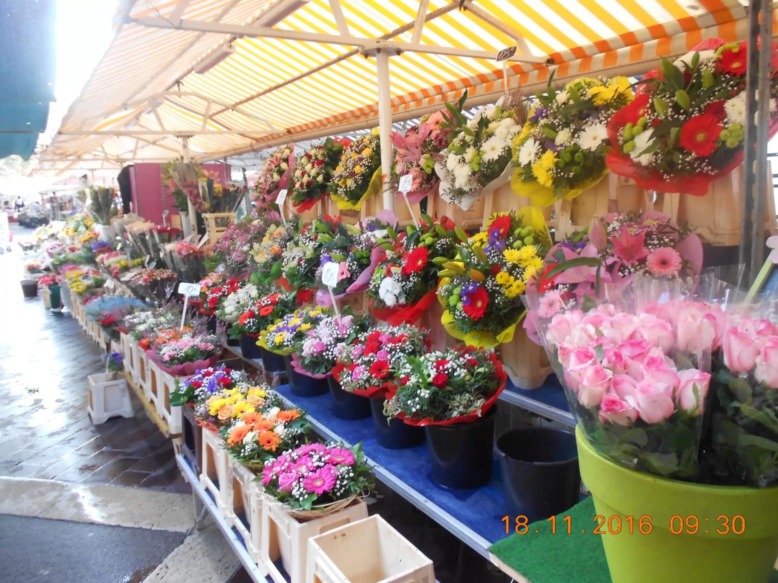 Property building in Breakfast at Sophy's