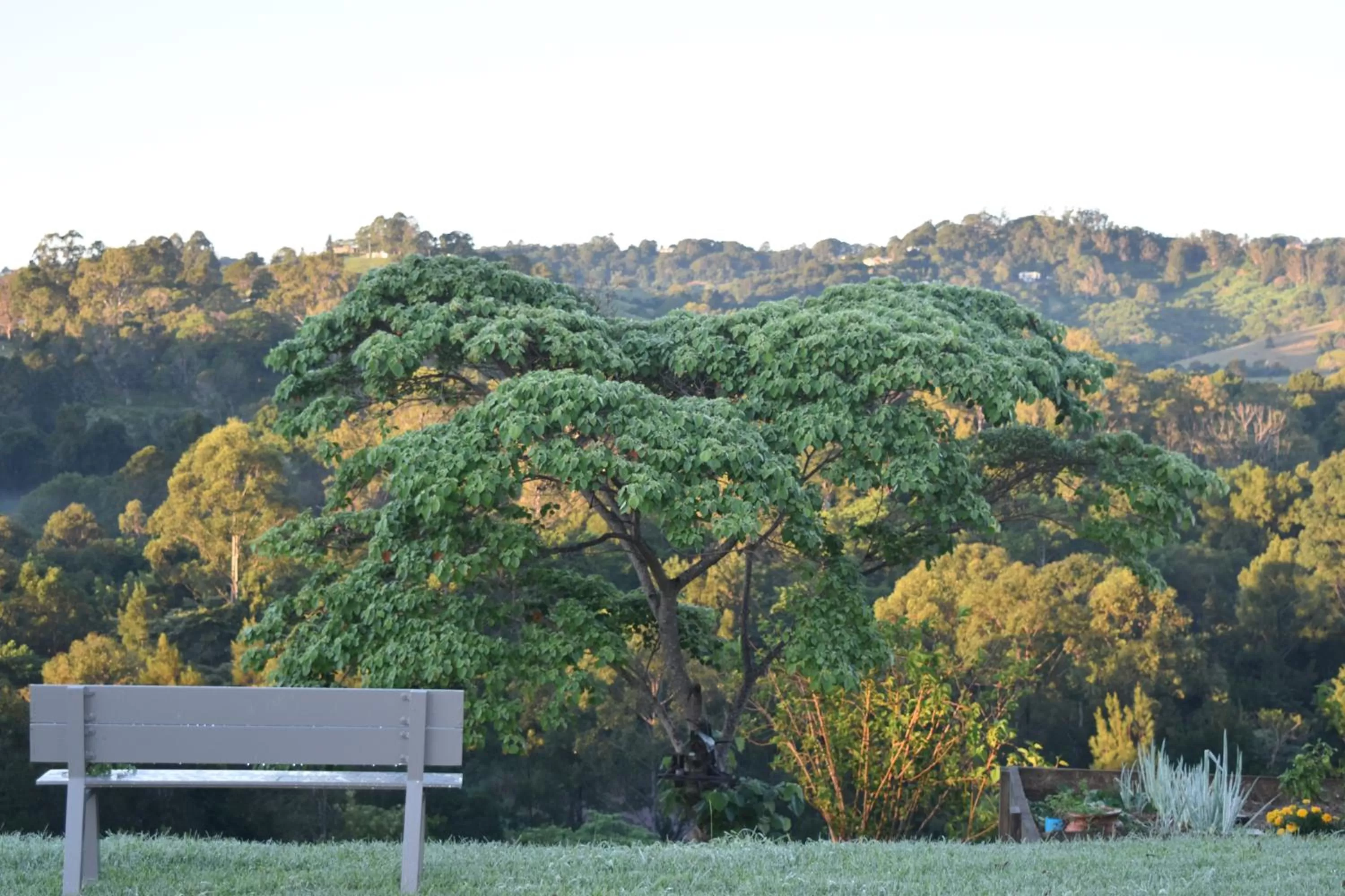 View (from property/room) in Mapleton Springs