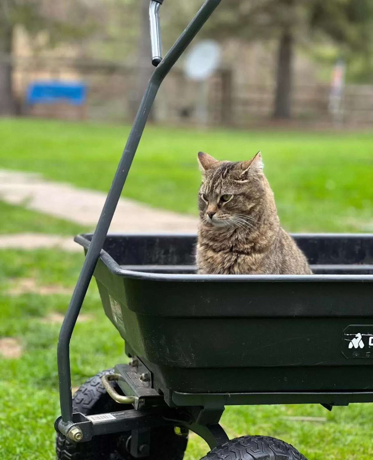 Laurel River Club Bed & Breakfast or LRCBNB
