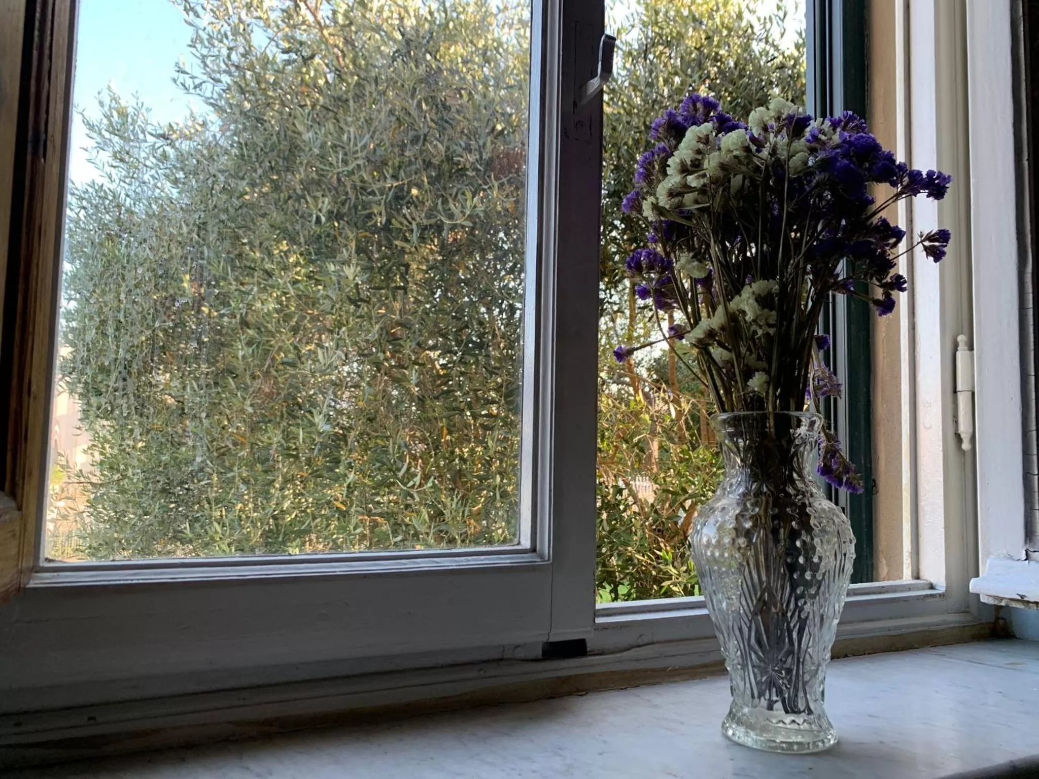 Inner courtyard view in Villa Adelina