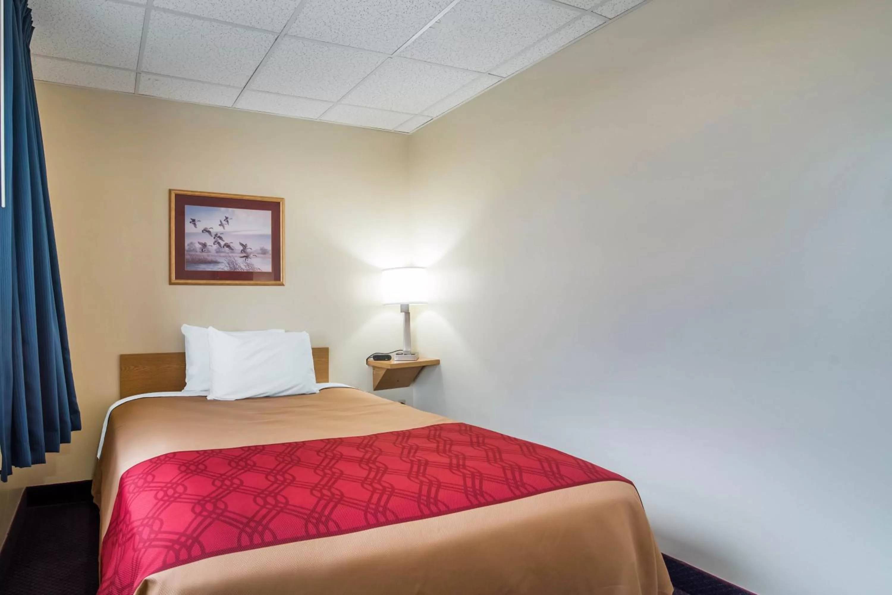 Queen Room - Non-Smoking in Econo Lodge Manchester