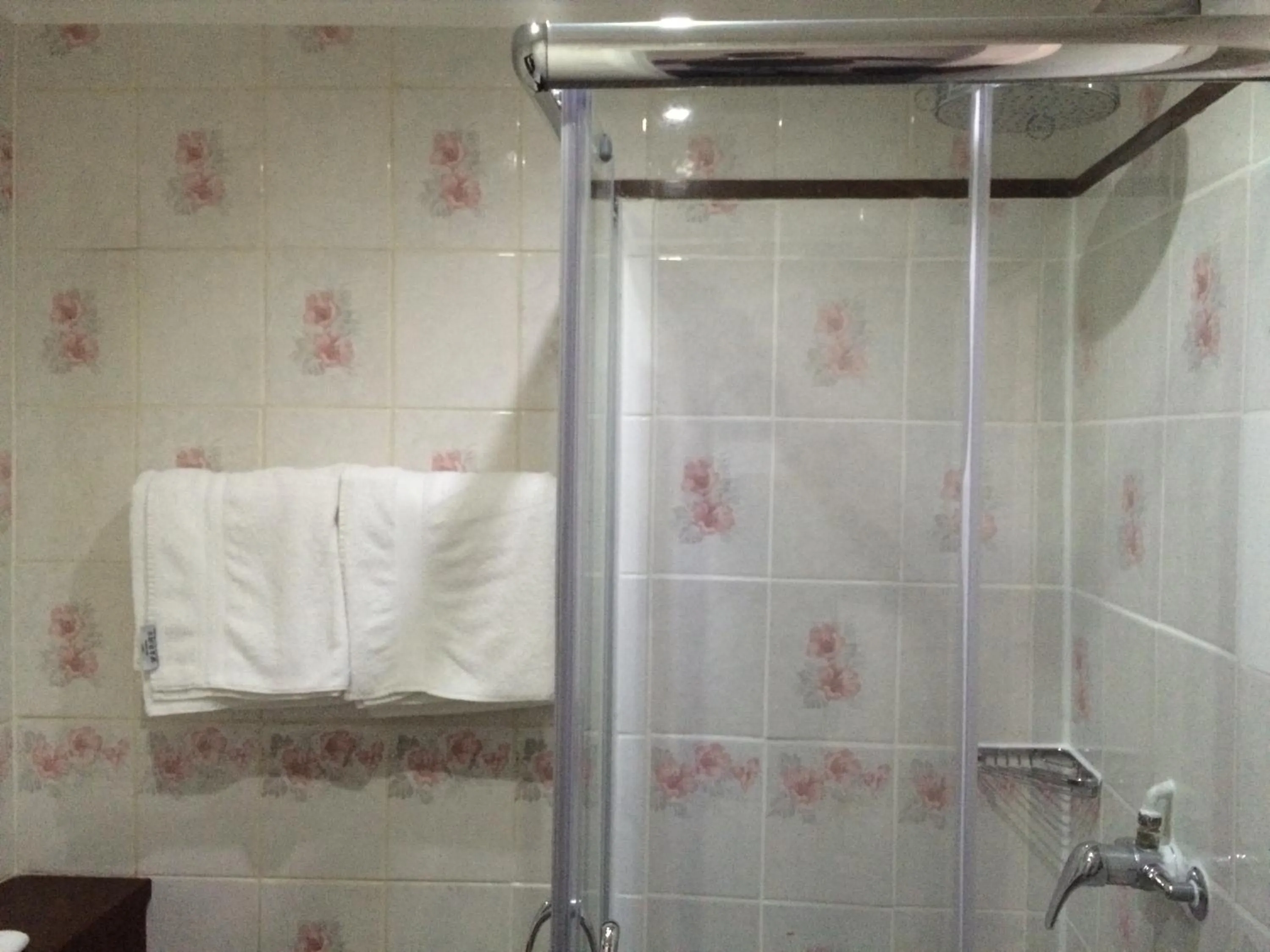 Shower in London Continental Hotel