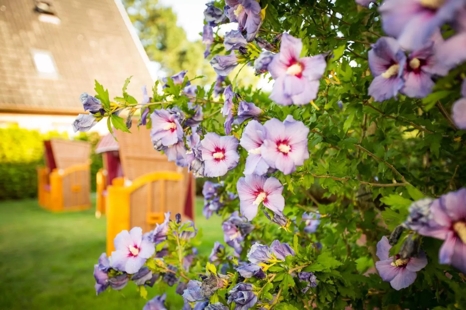 Garden in Hotel Das kleine Glück - Adults Only