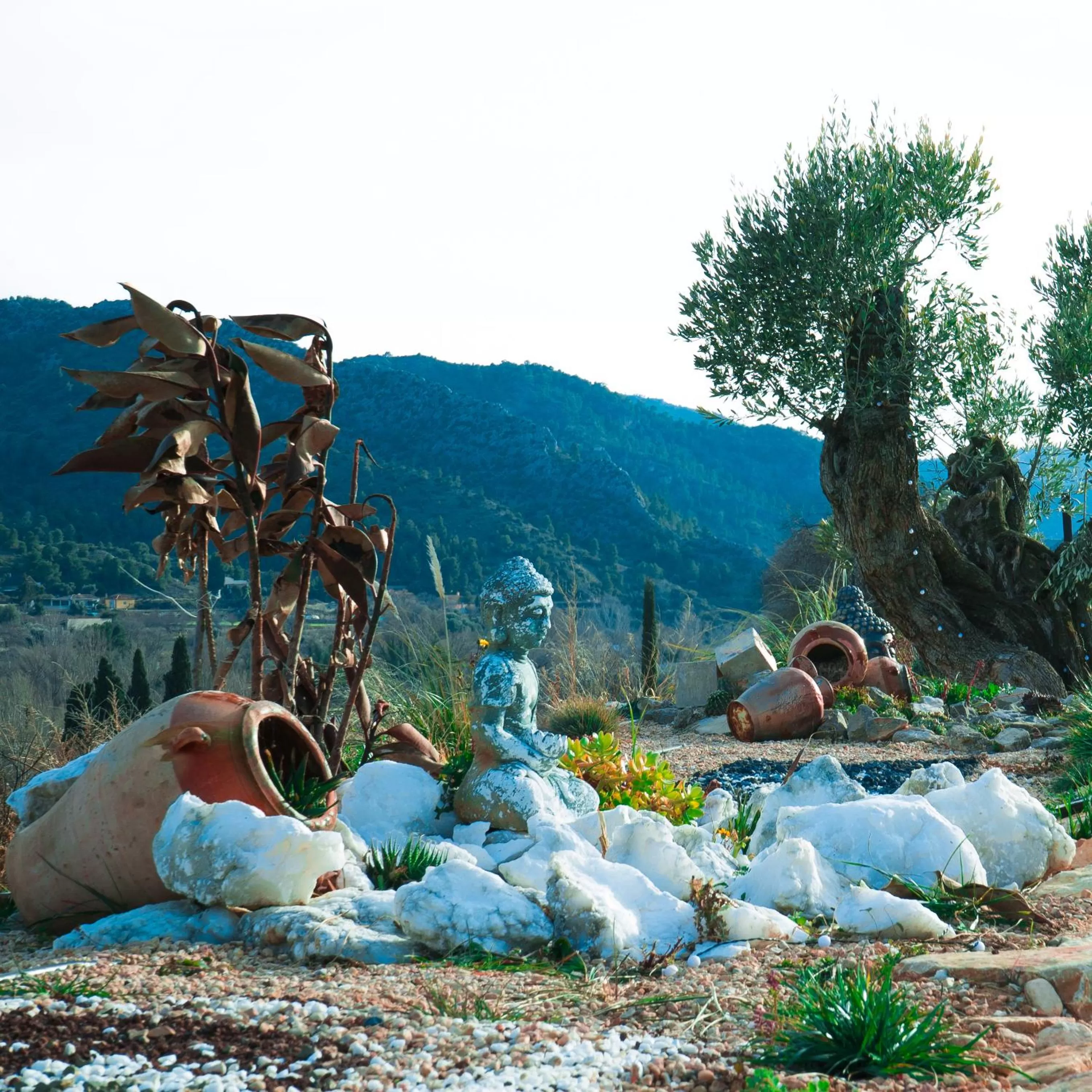 Garden in Cabezo Buñuel Hostal