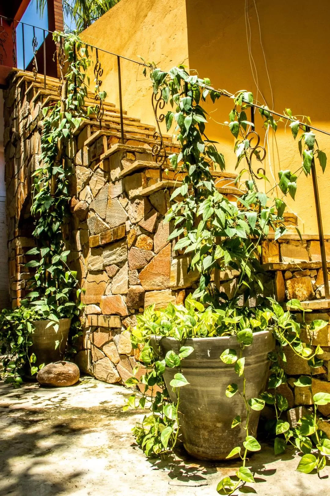 Garden in Pousada Saruê Natal Praia RN