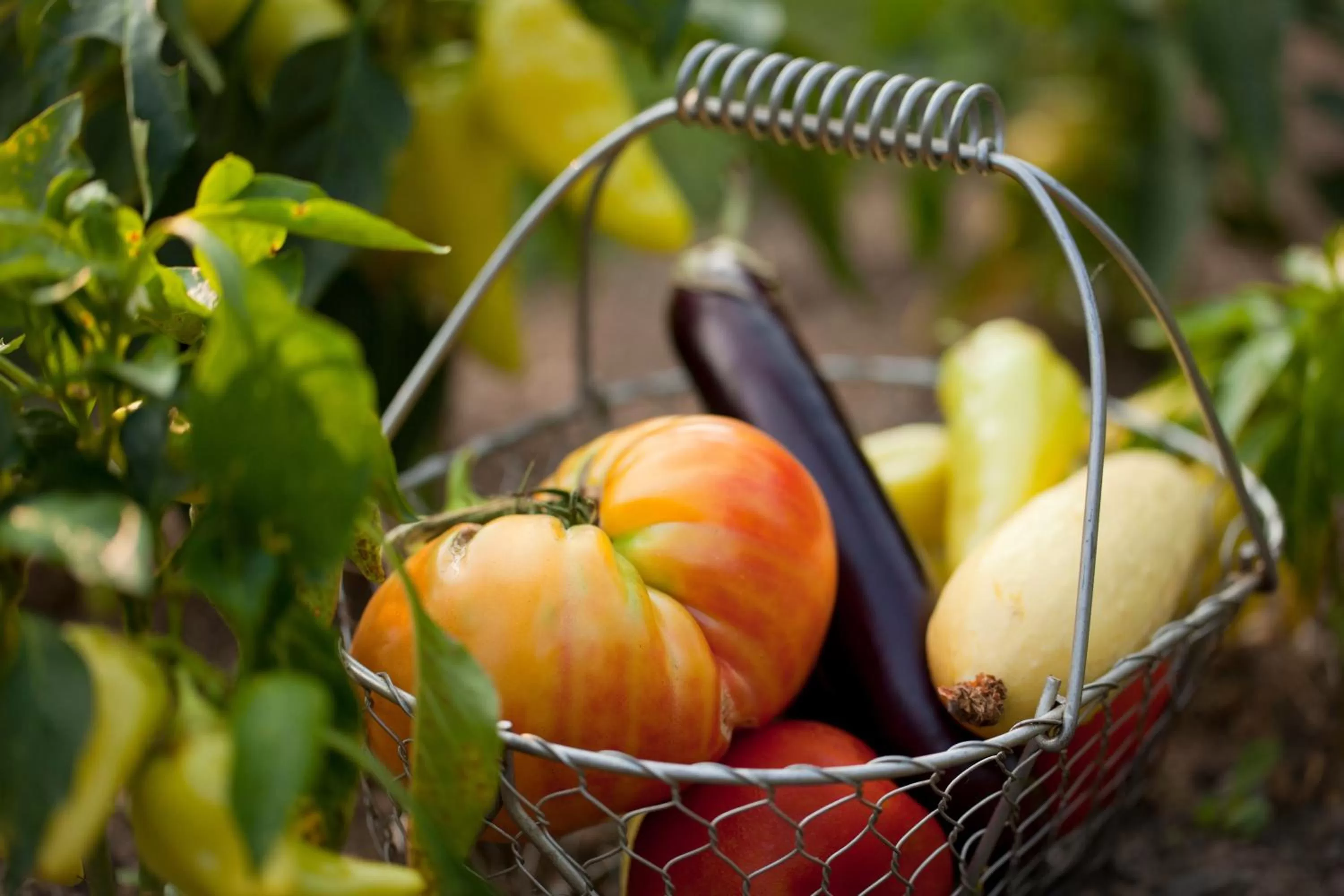 Garden, Food in Brampton Bed and Breakfast Inn