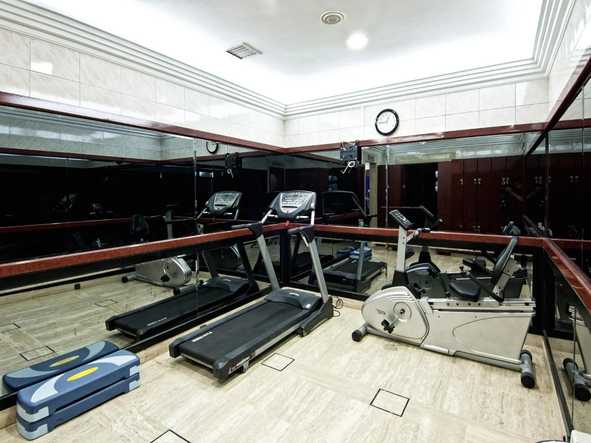 Fitness centre/facilities in Grand Star Hotel Bosphorus & Spa