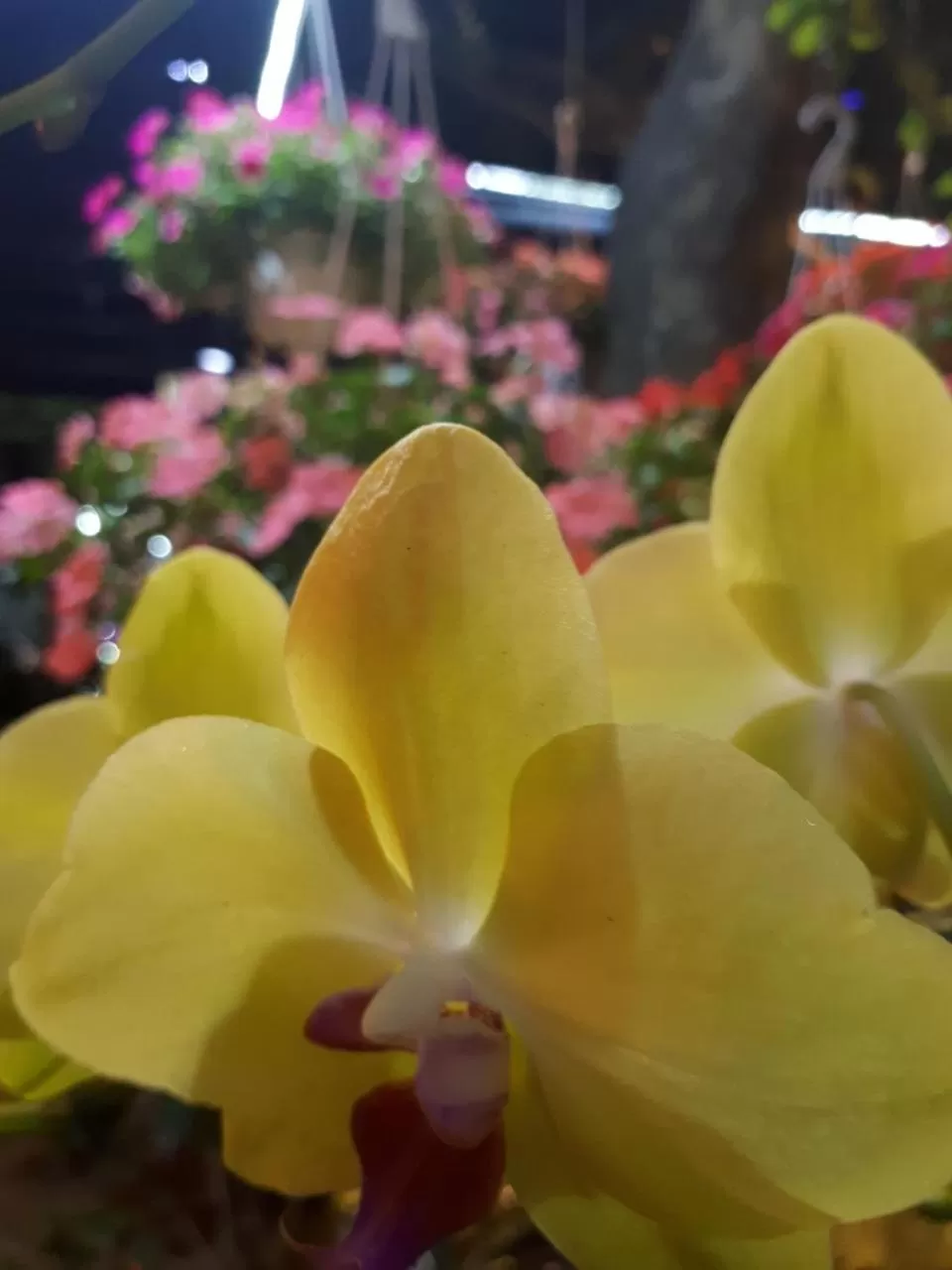 Khách Sạn Hiệp Yến