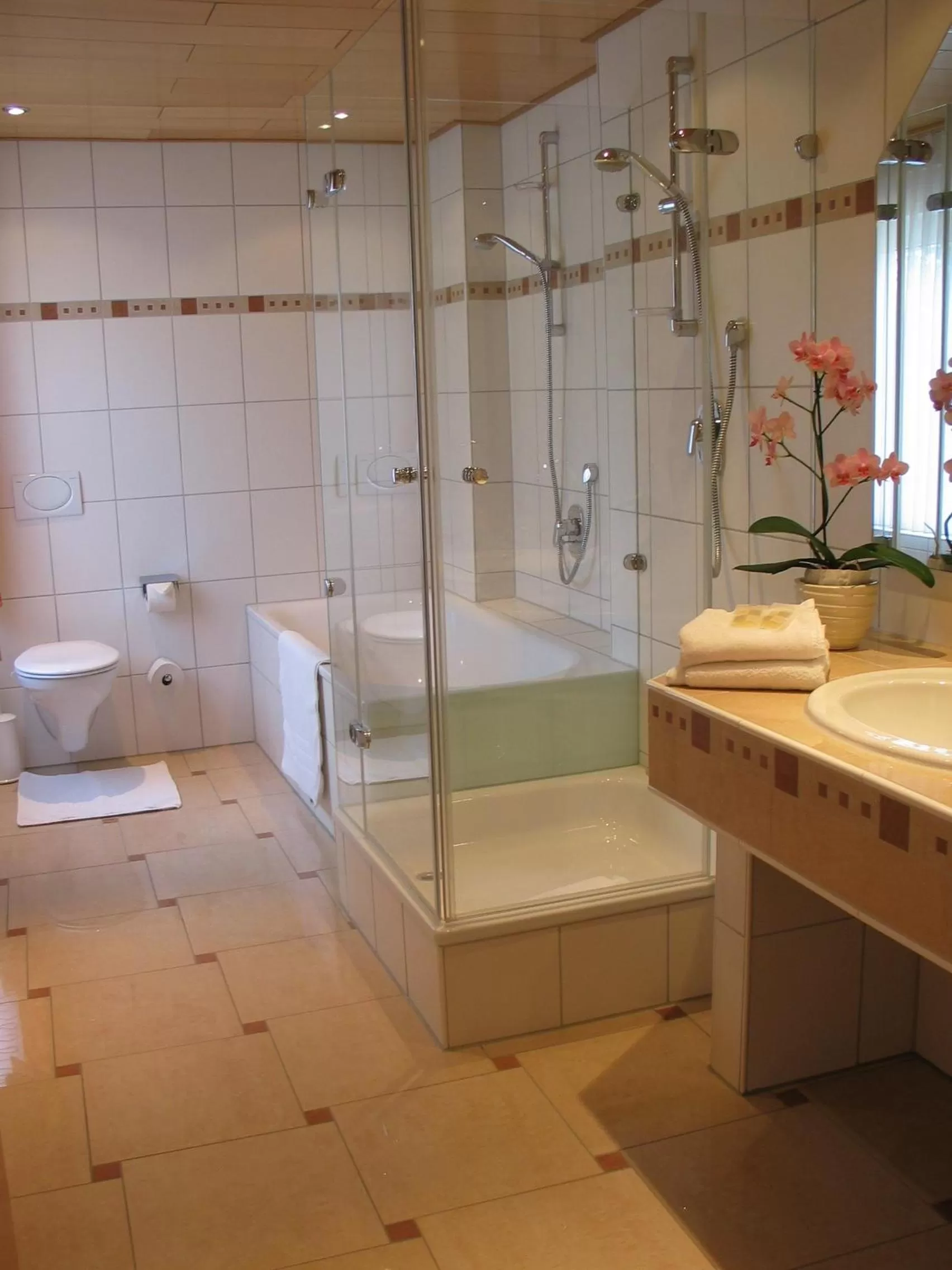 Bathroom in Hotel-Restaurant-Kolb