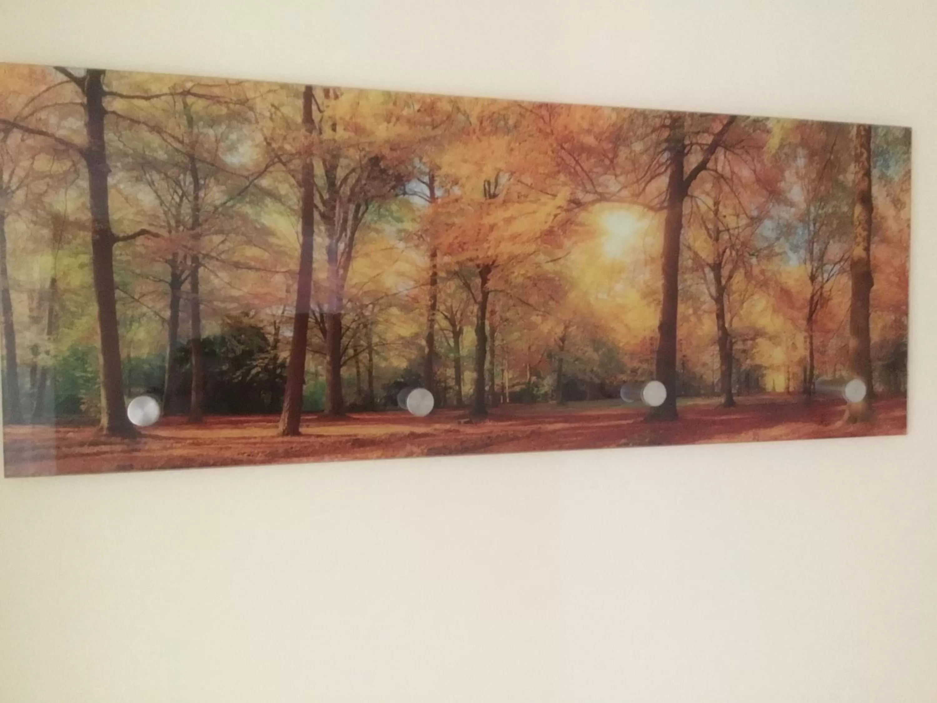 Other in Ferienwohnungen An der Bimmelbahn Wernigerode