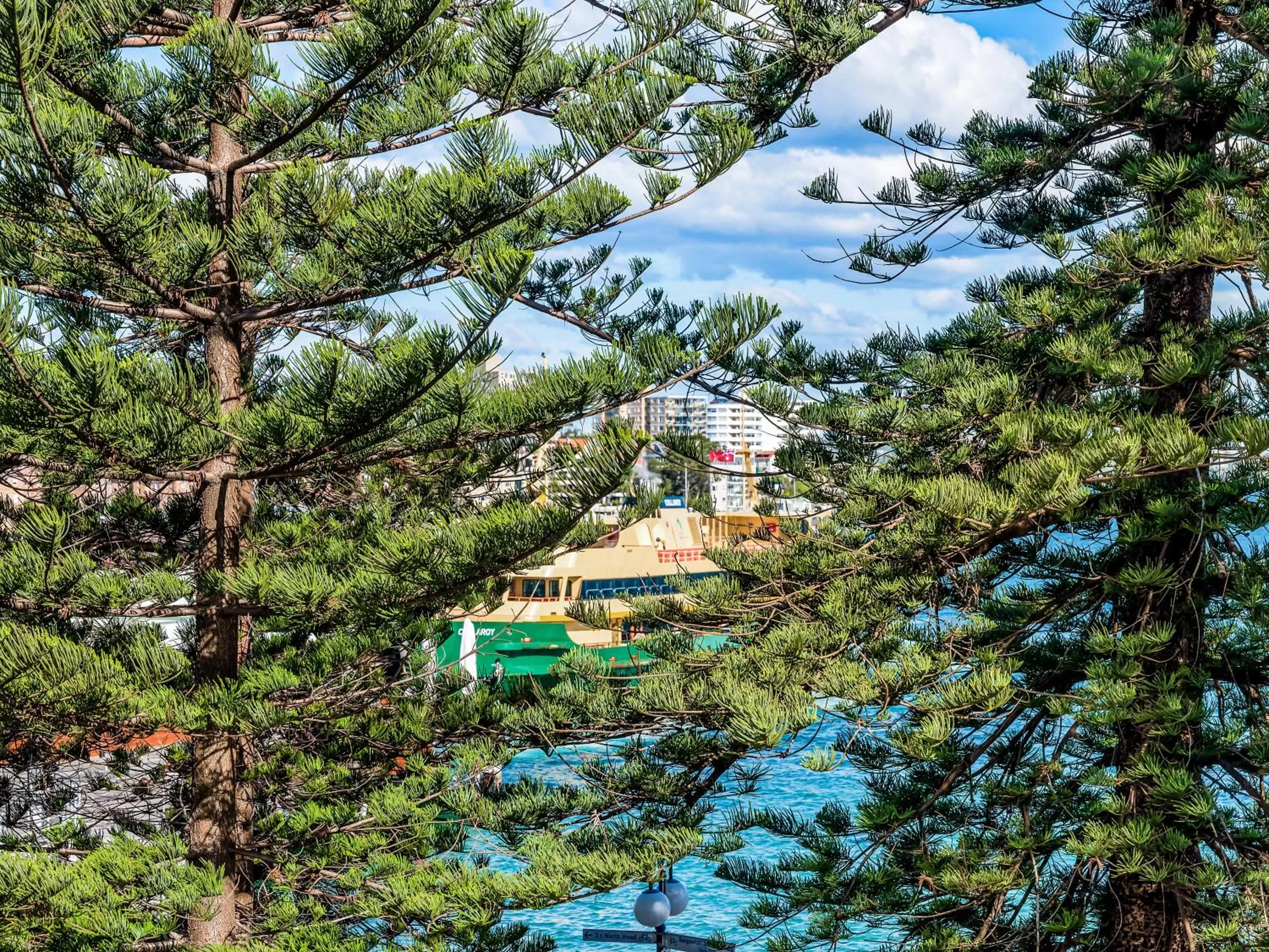 Sea view, Bird's-eye View in Quest Manly