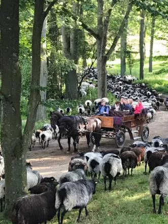 Animals in Hotel Heidpark