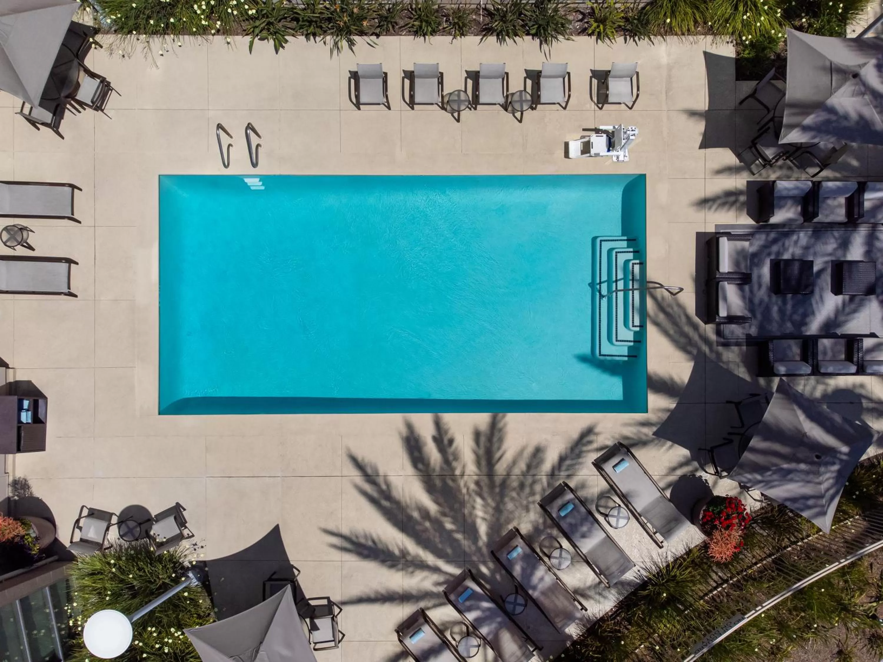 Swimming pool in Courtyard by Marriott Santa Ana Orange County