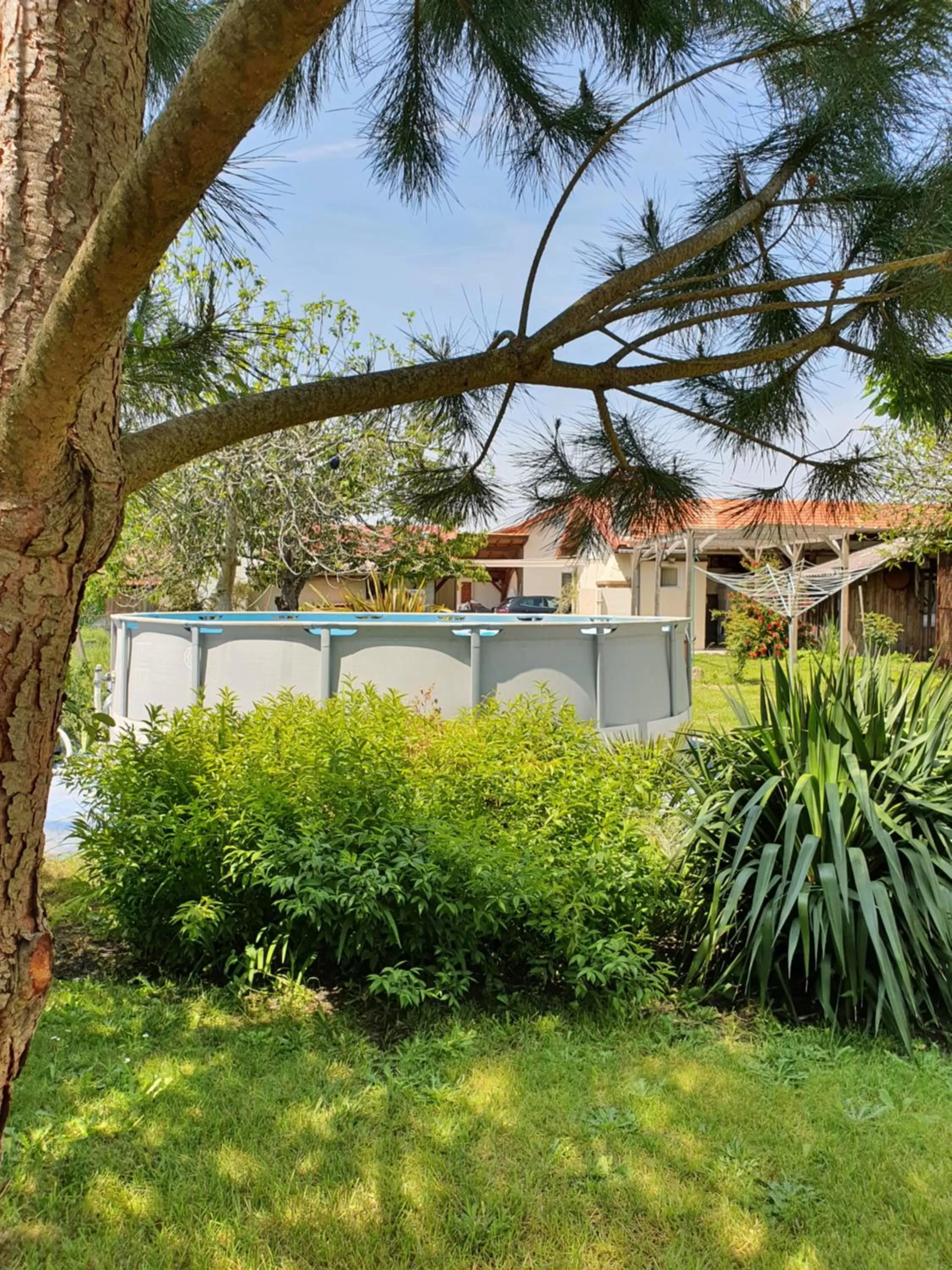 Swimming pool in a2pasdelaforet