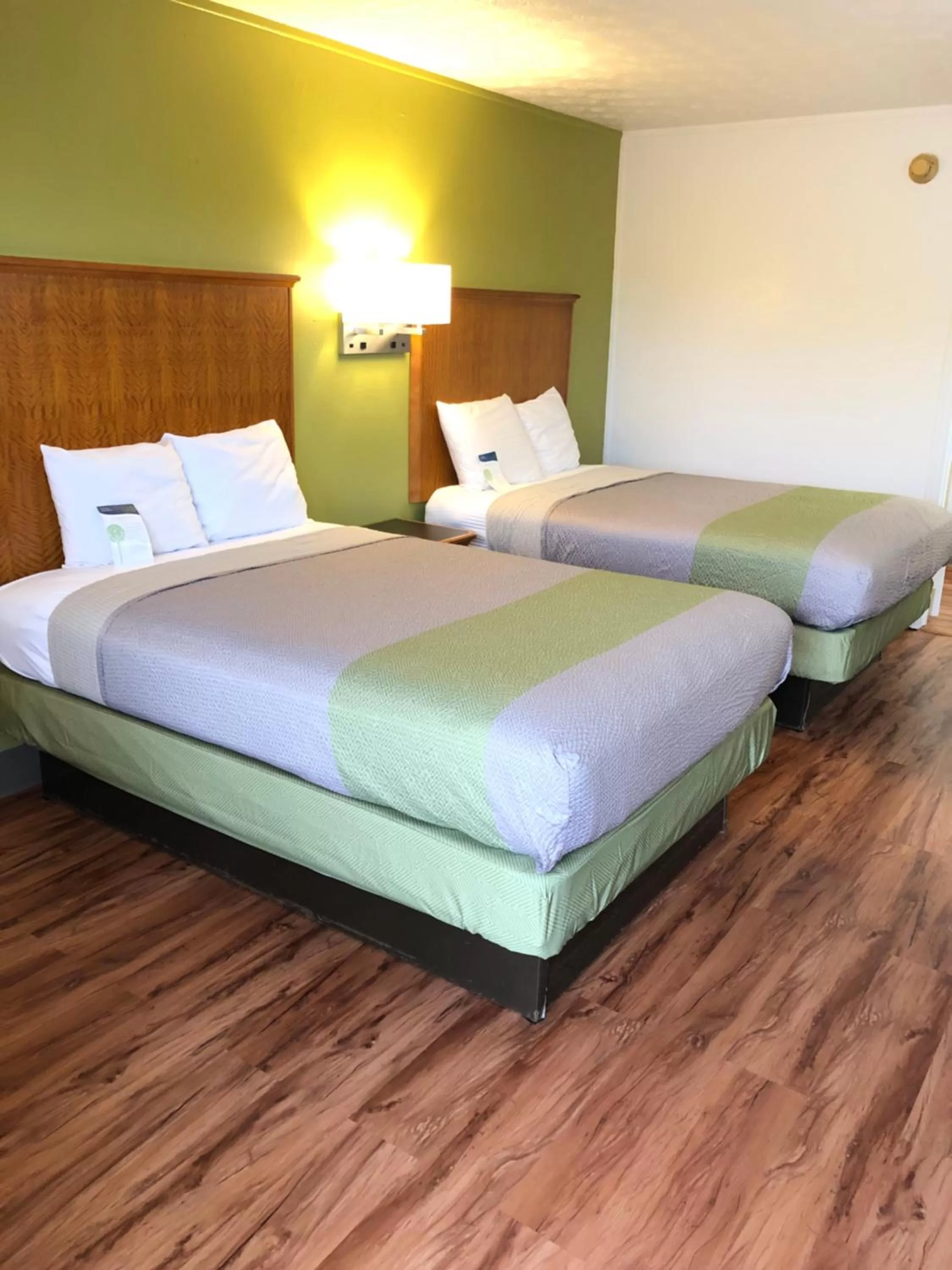 Bed in Motel 6-Parkersburg, WV