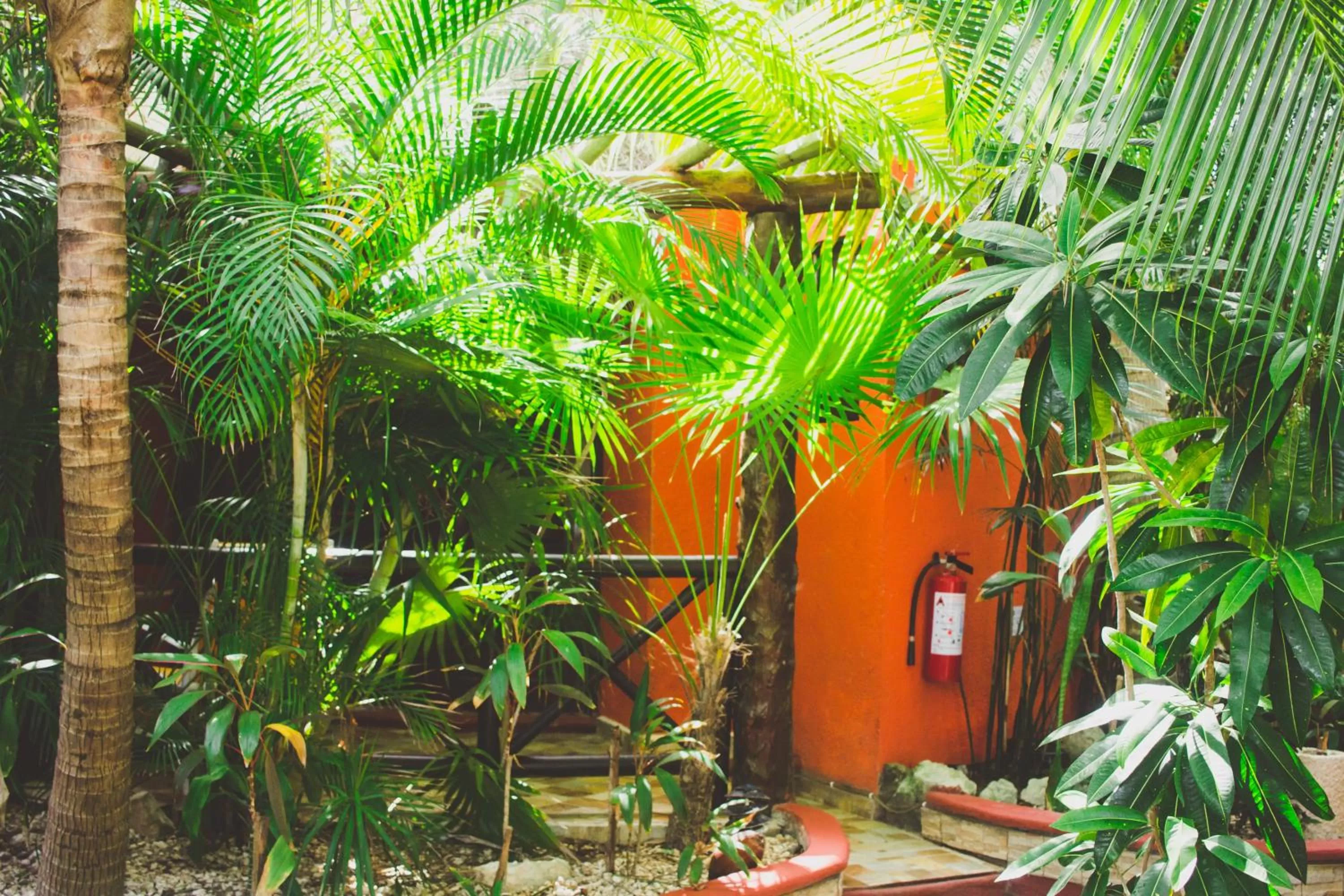 Facade/entrance in Cocos Cabañas Playa del Carmen Adults Only