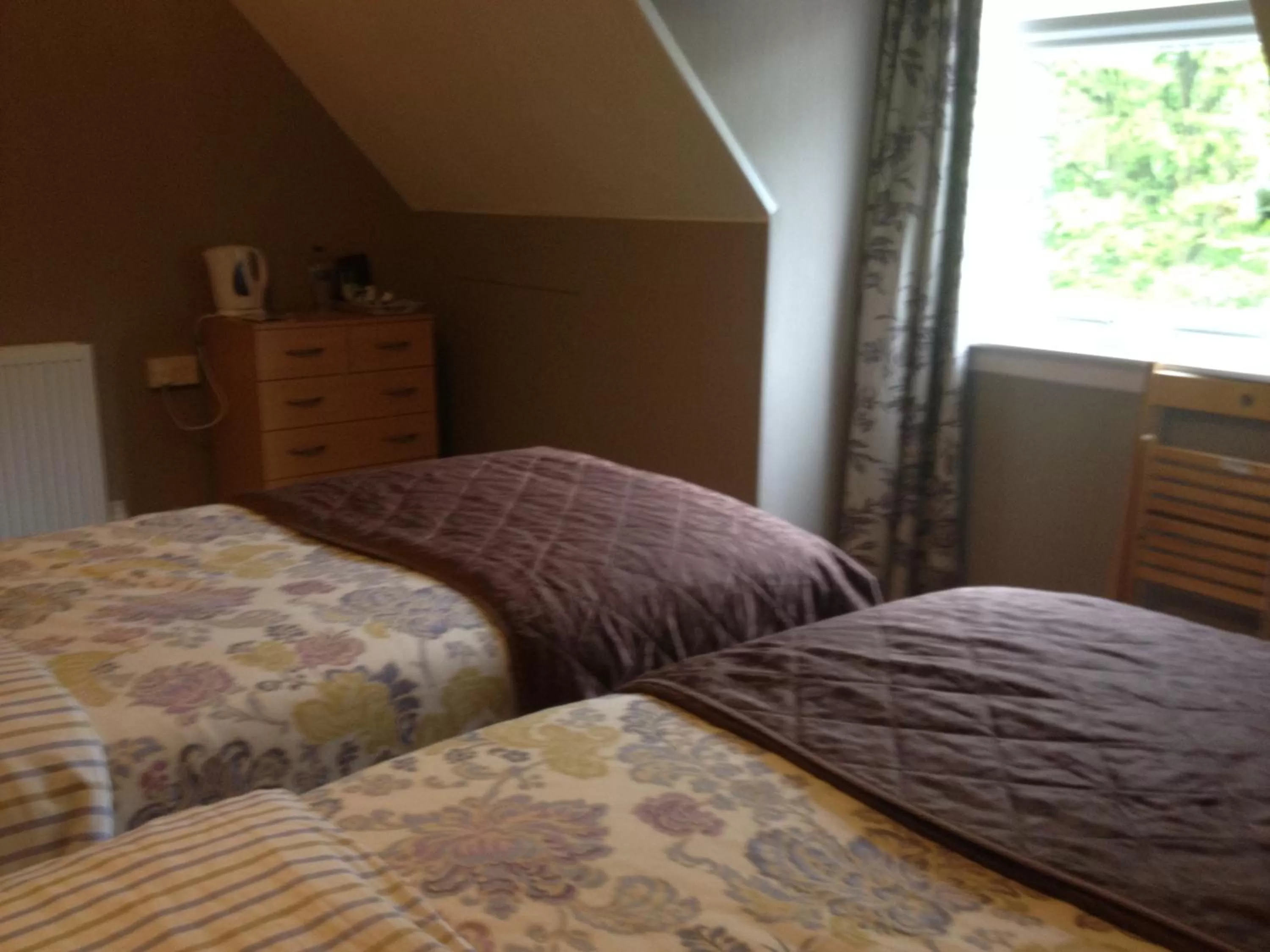 Photo of the whole room, Bed in The Sherwood, No 11,