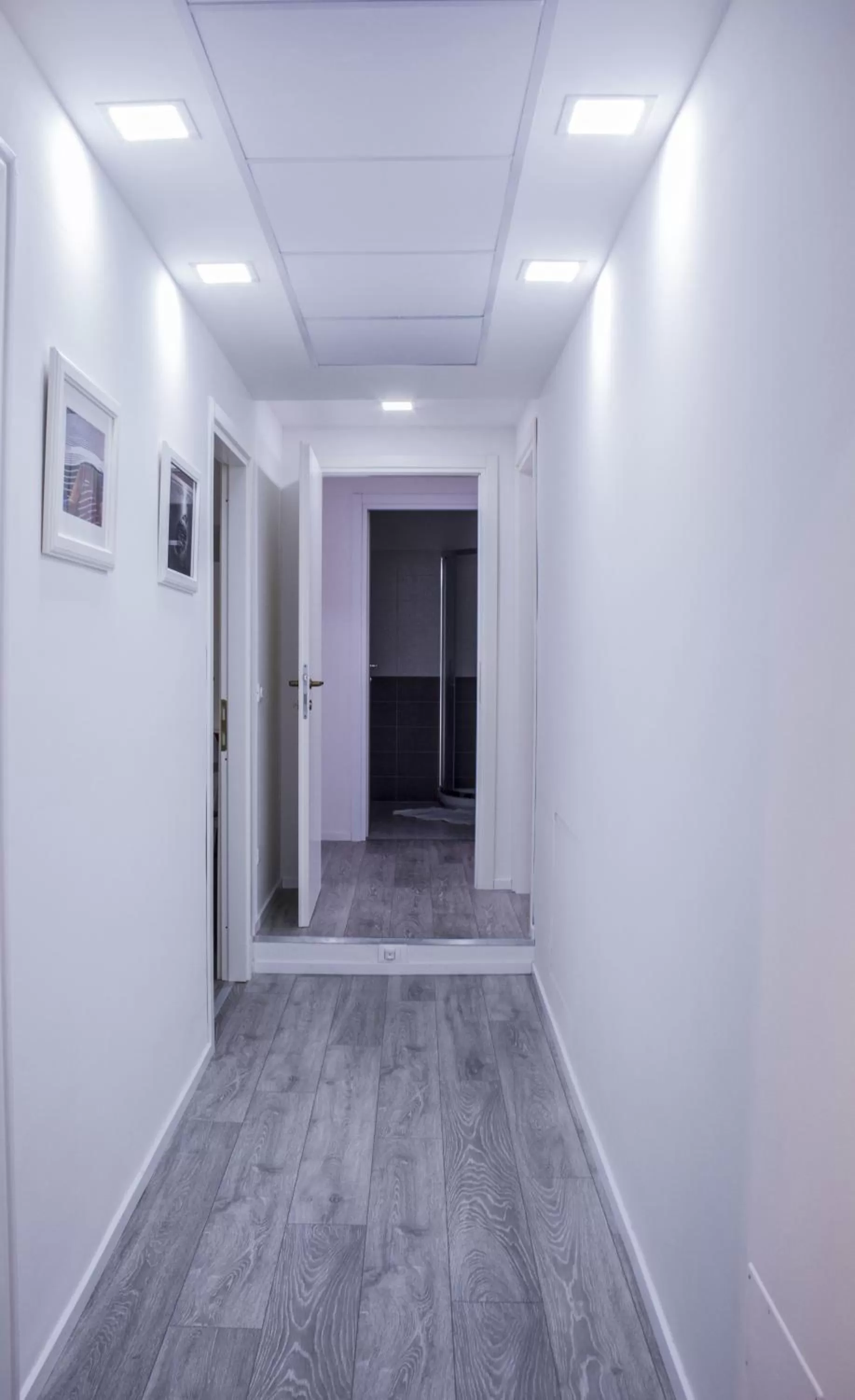 Area and facilities in Domus Raffaello