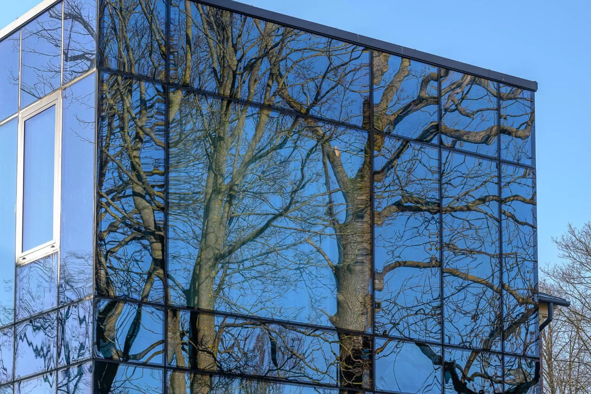 Property building, Winter in Roze Peldu Residence