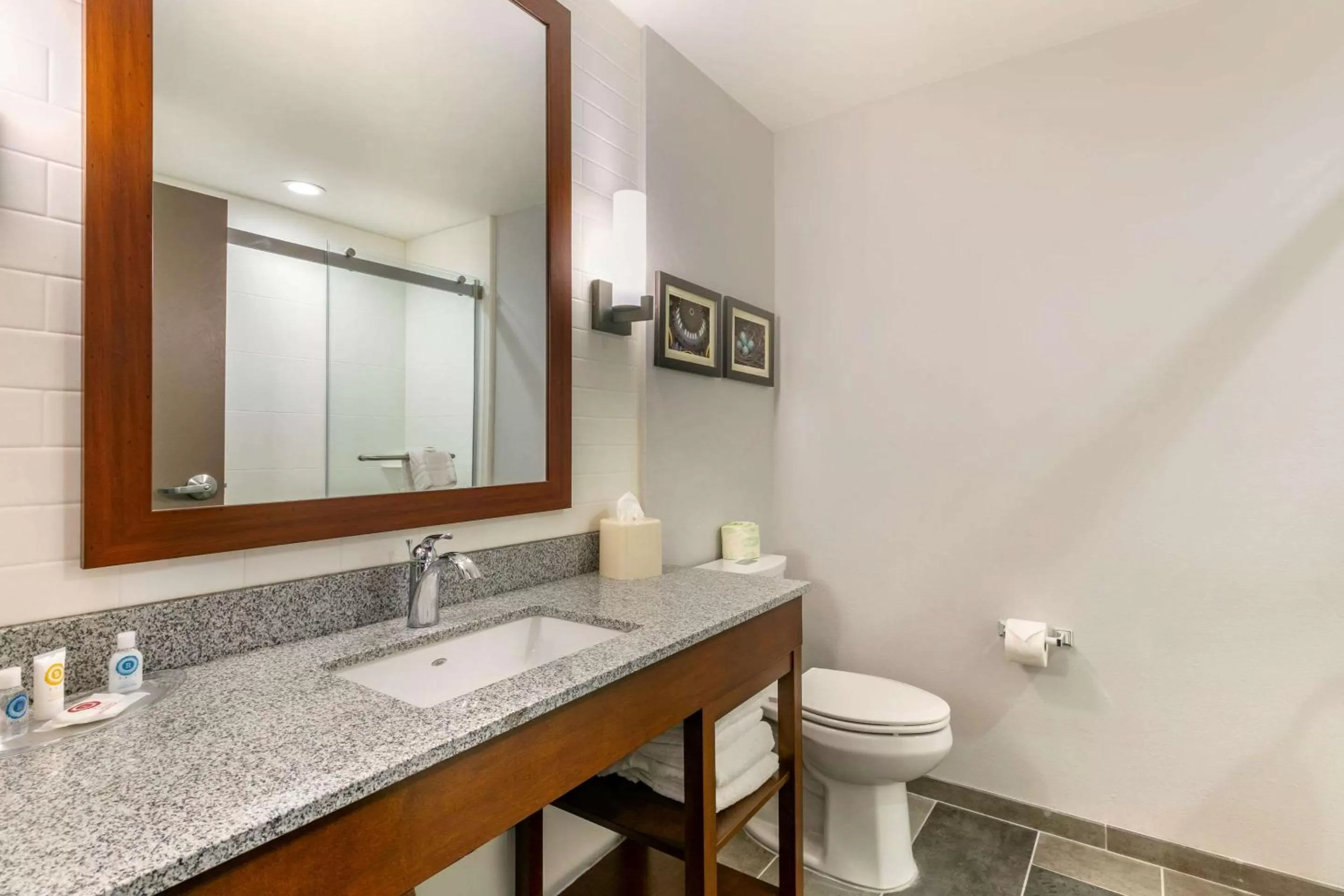 Photo of the whole room in Comfort Suites North Tupelo