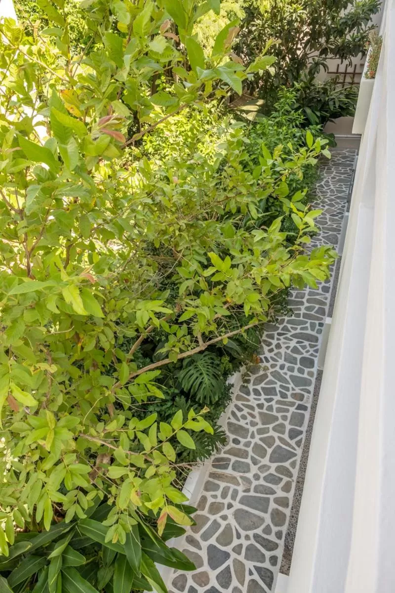 Balcony/Terrace in Aris Boutique Hotel