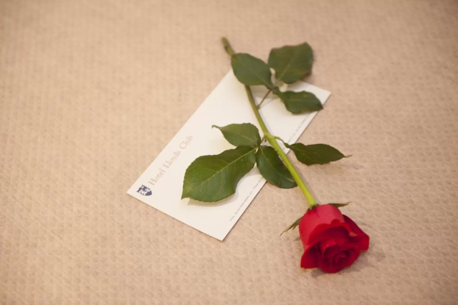 Other in Lloyds Beach Club