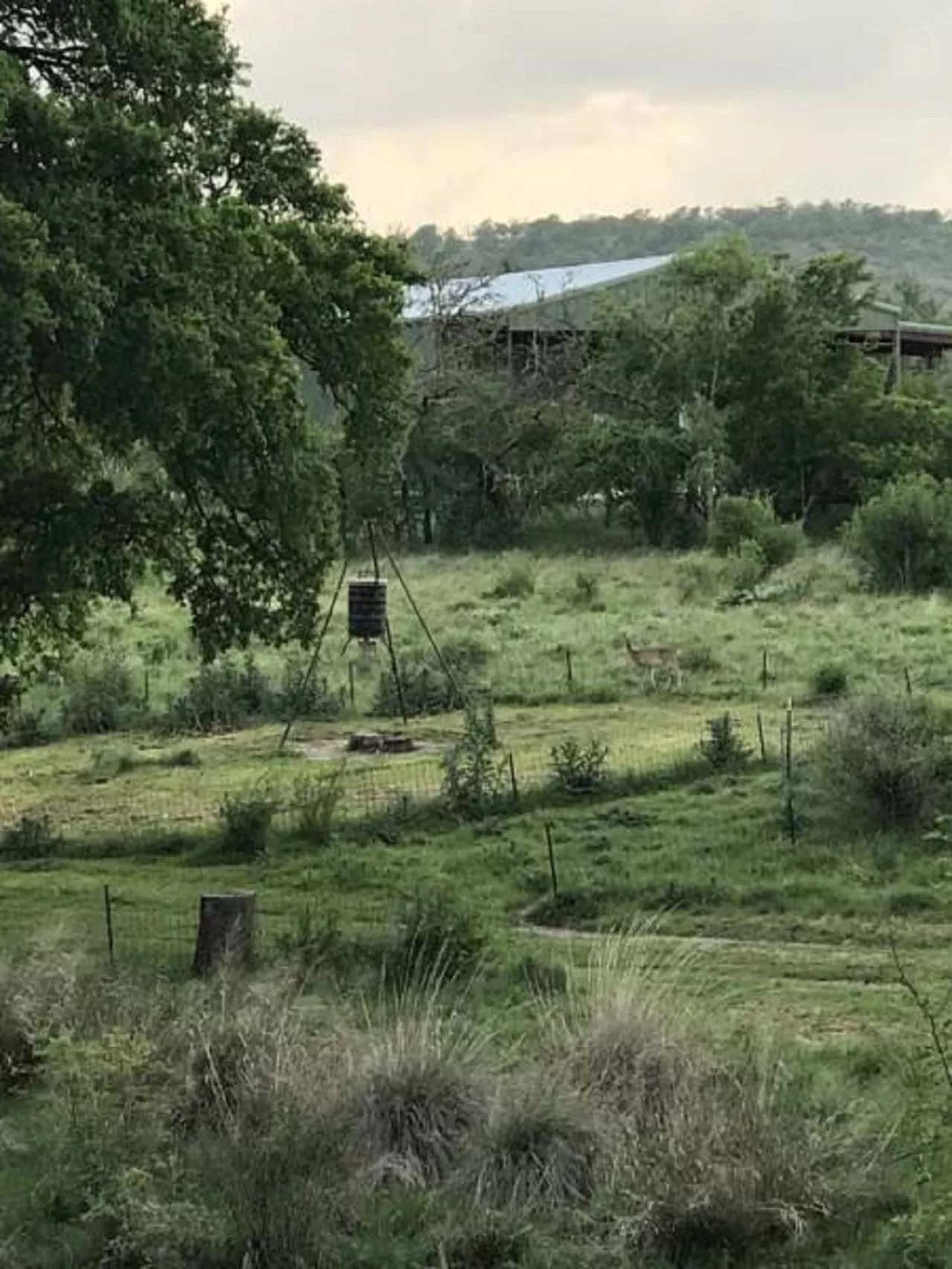 City on a Hill at Spring Creek