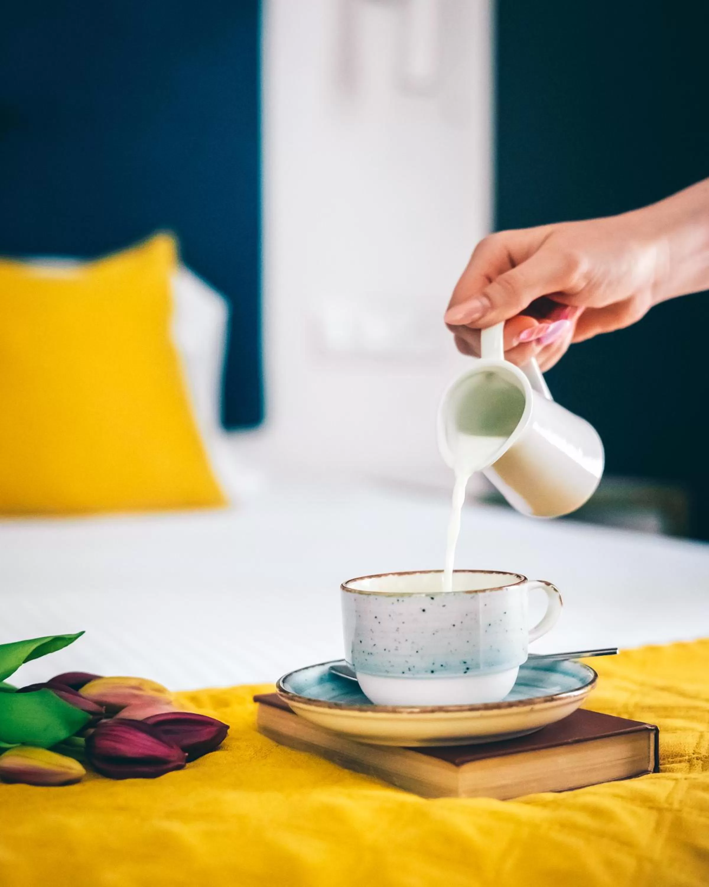 Photo of the whole room in Hotel Villa Art Novis City Center