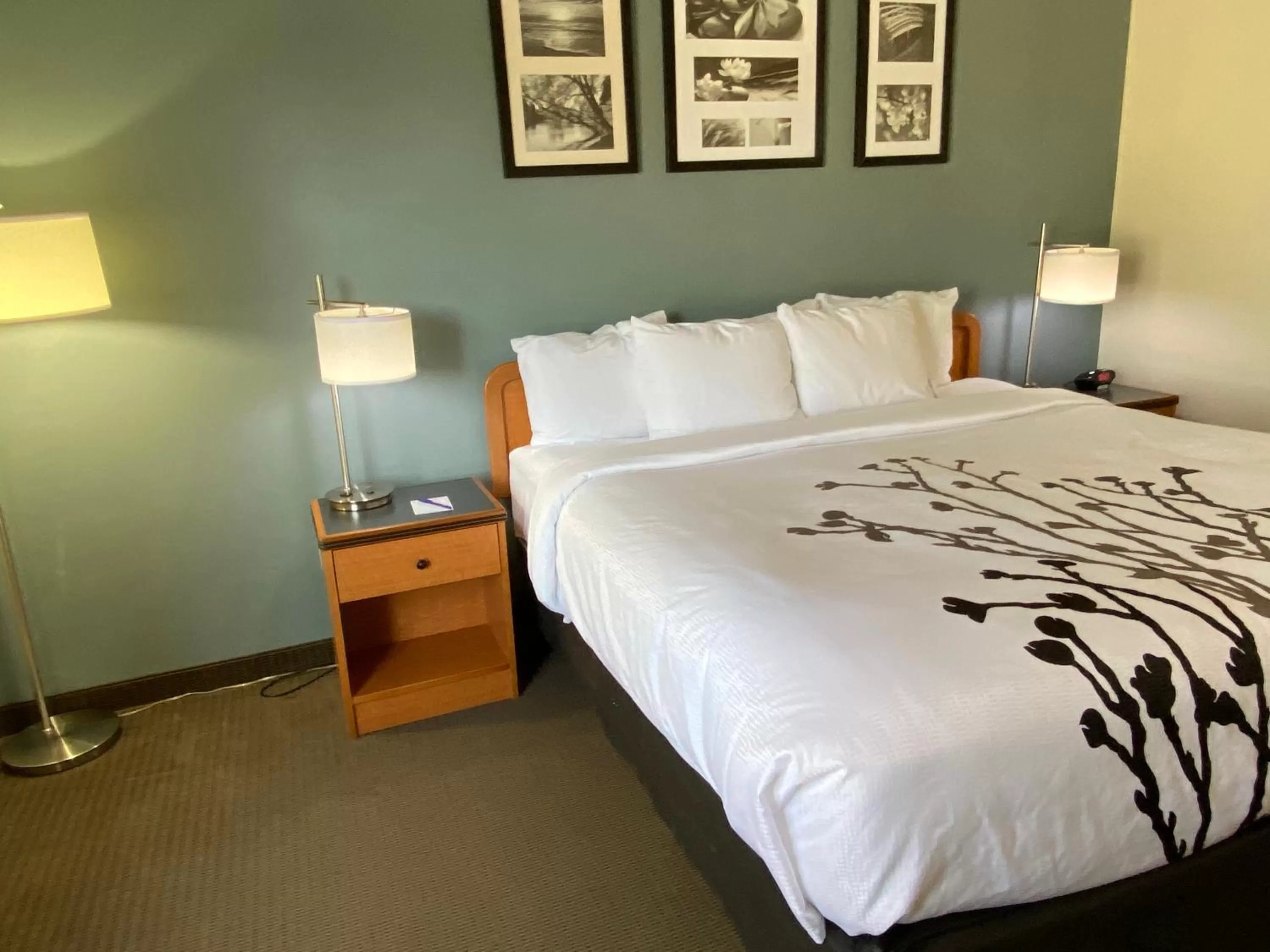 Standard King Room with Roll-in Shower - Accessible/Non-Smoking in Sleep Inn & Suites Davenport - Quad Cities