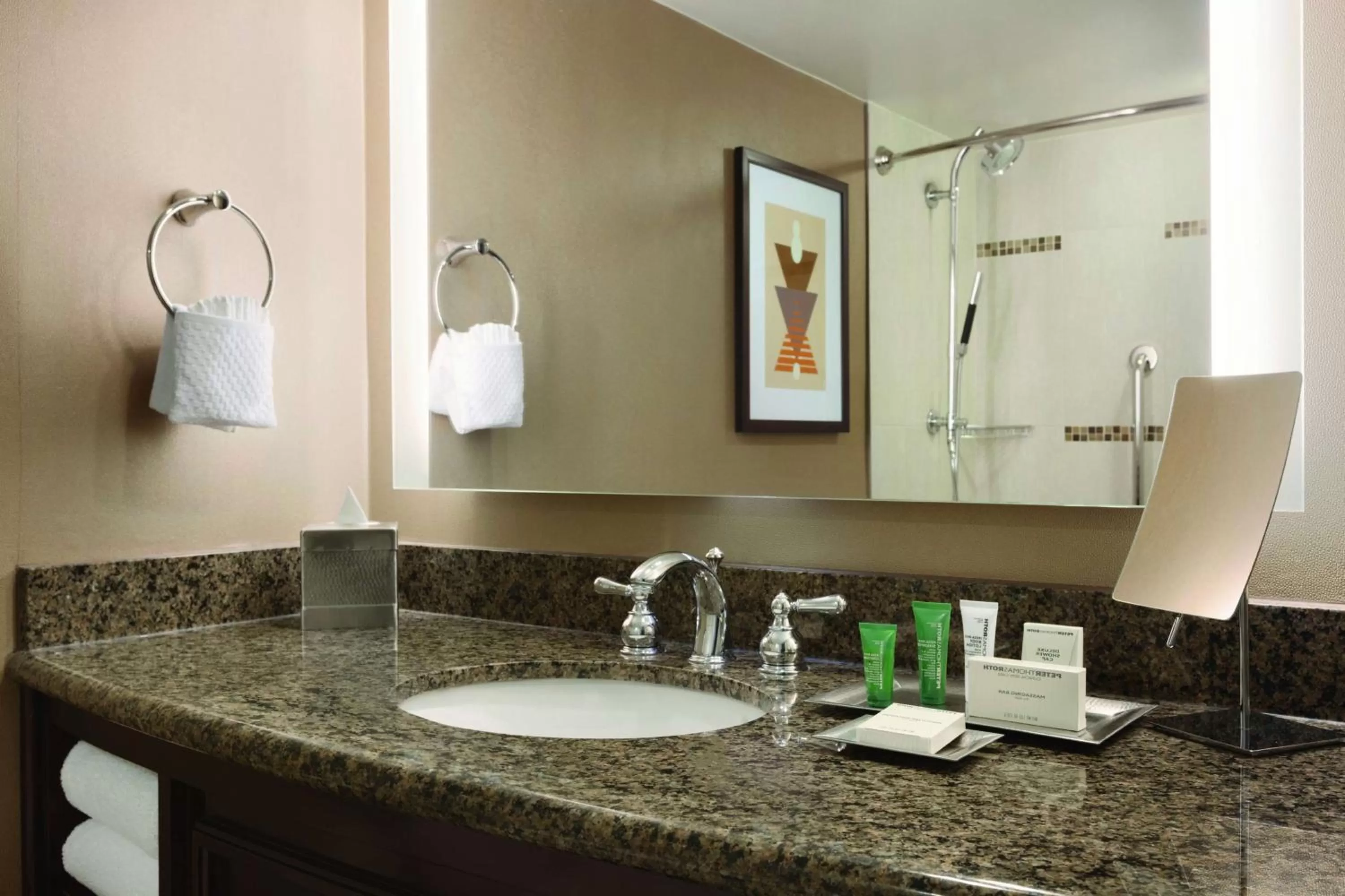 Bathroom in Hilton Arlington