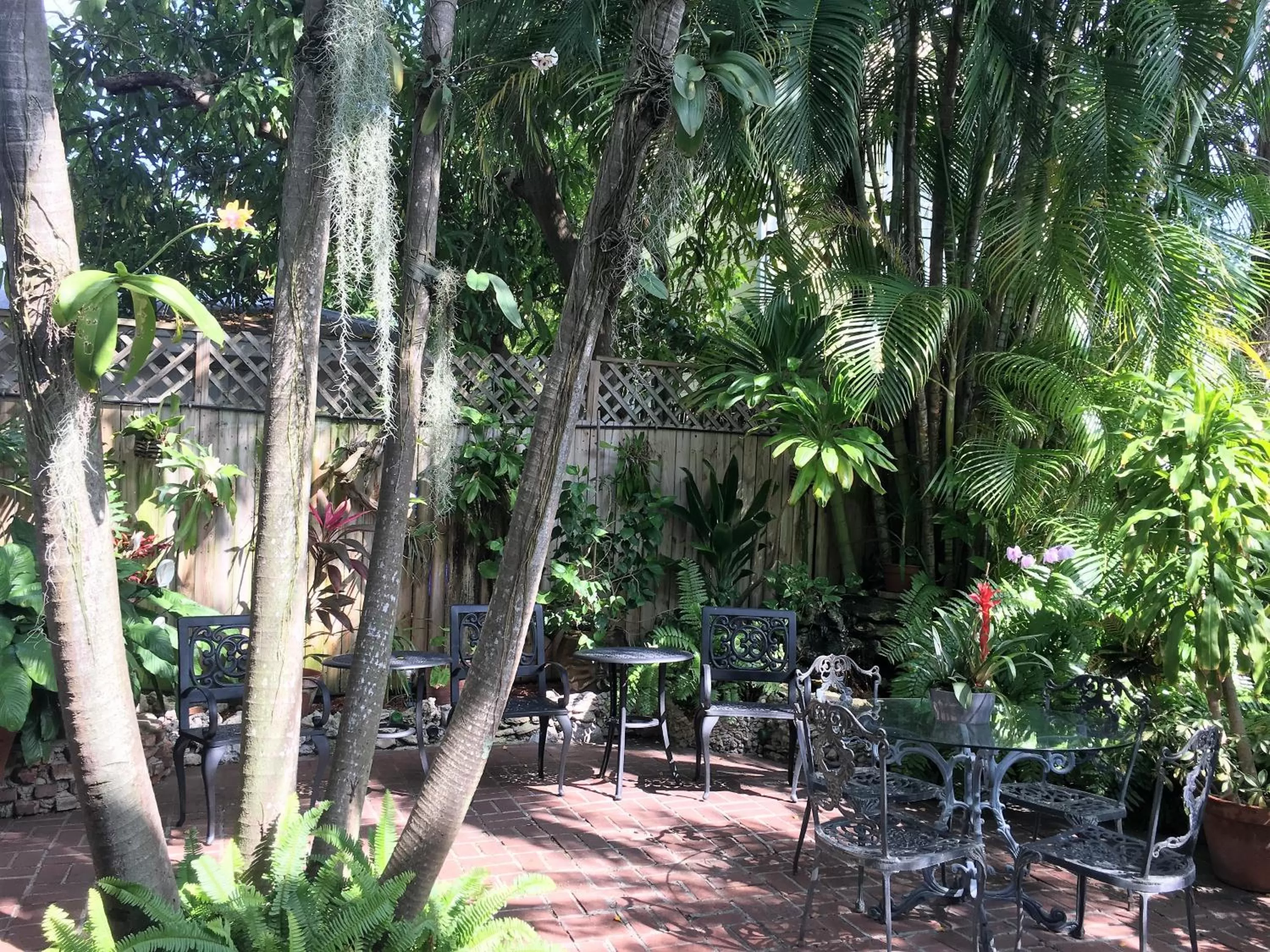 Garden in Douglas House