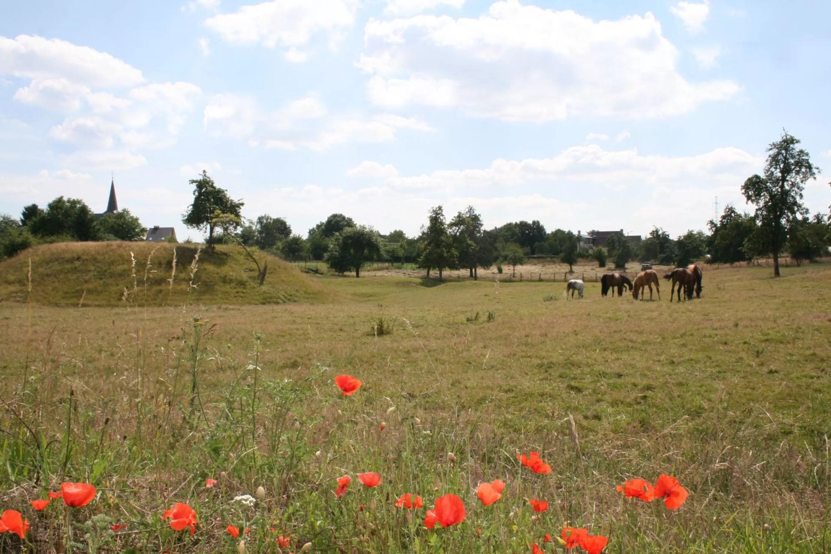 Nearby landmark in twee broeders