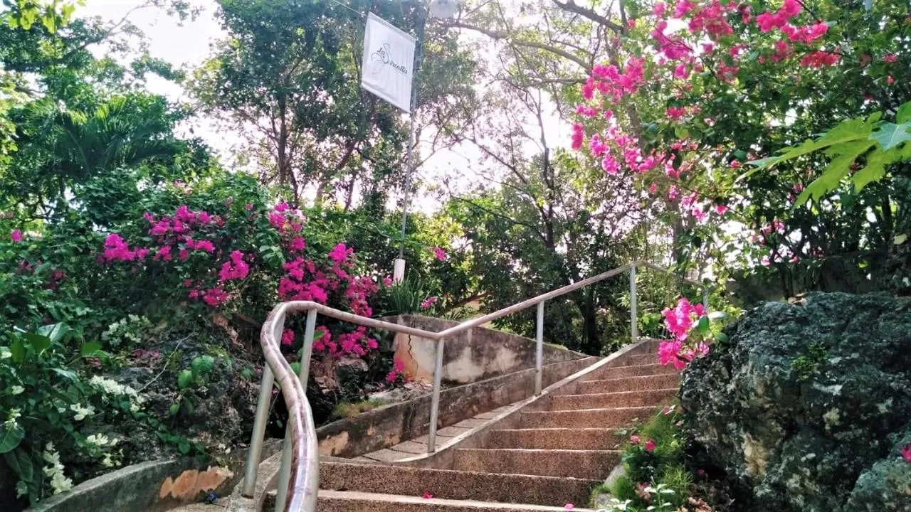 Property logo or sign in La Sirenita