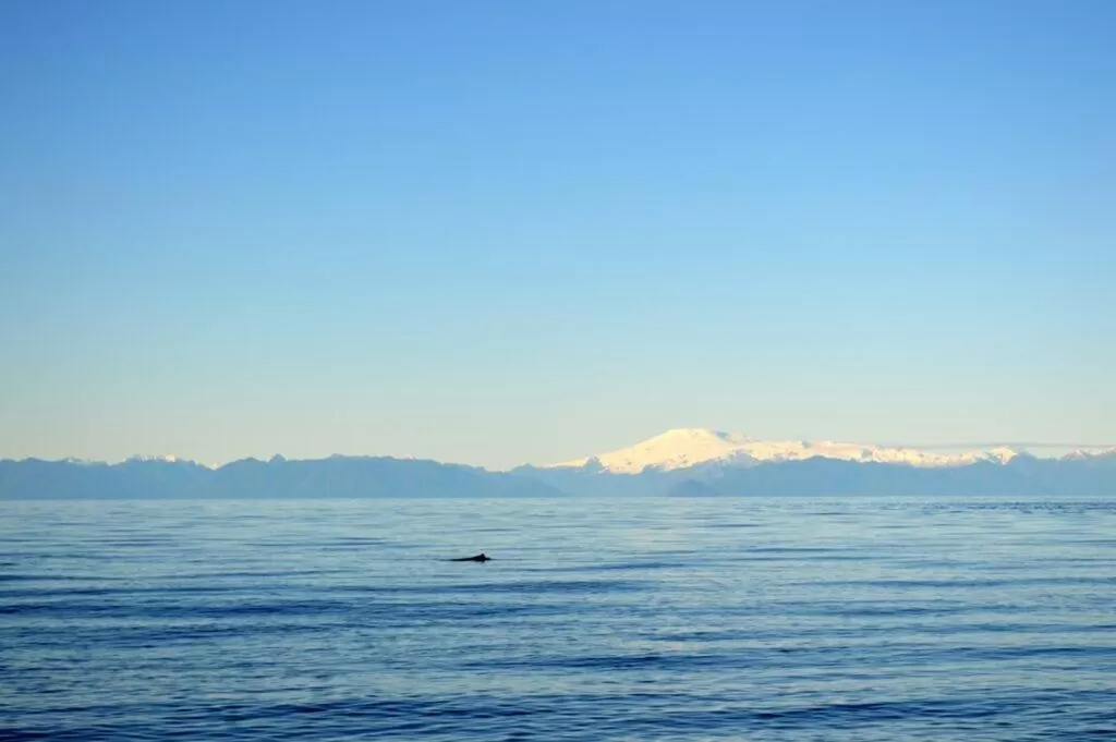 Beach in El Coo Lodge