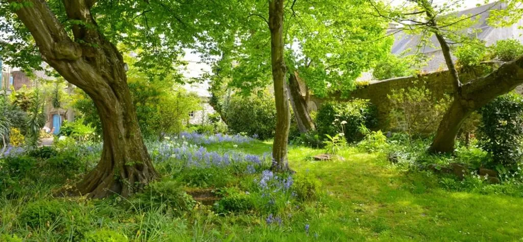 Garden view, Garden in Hotel de France