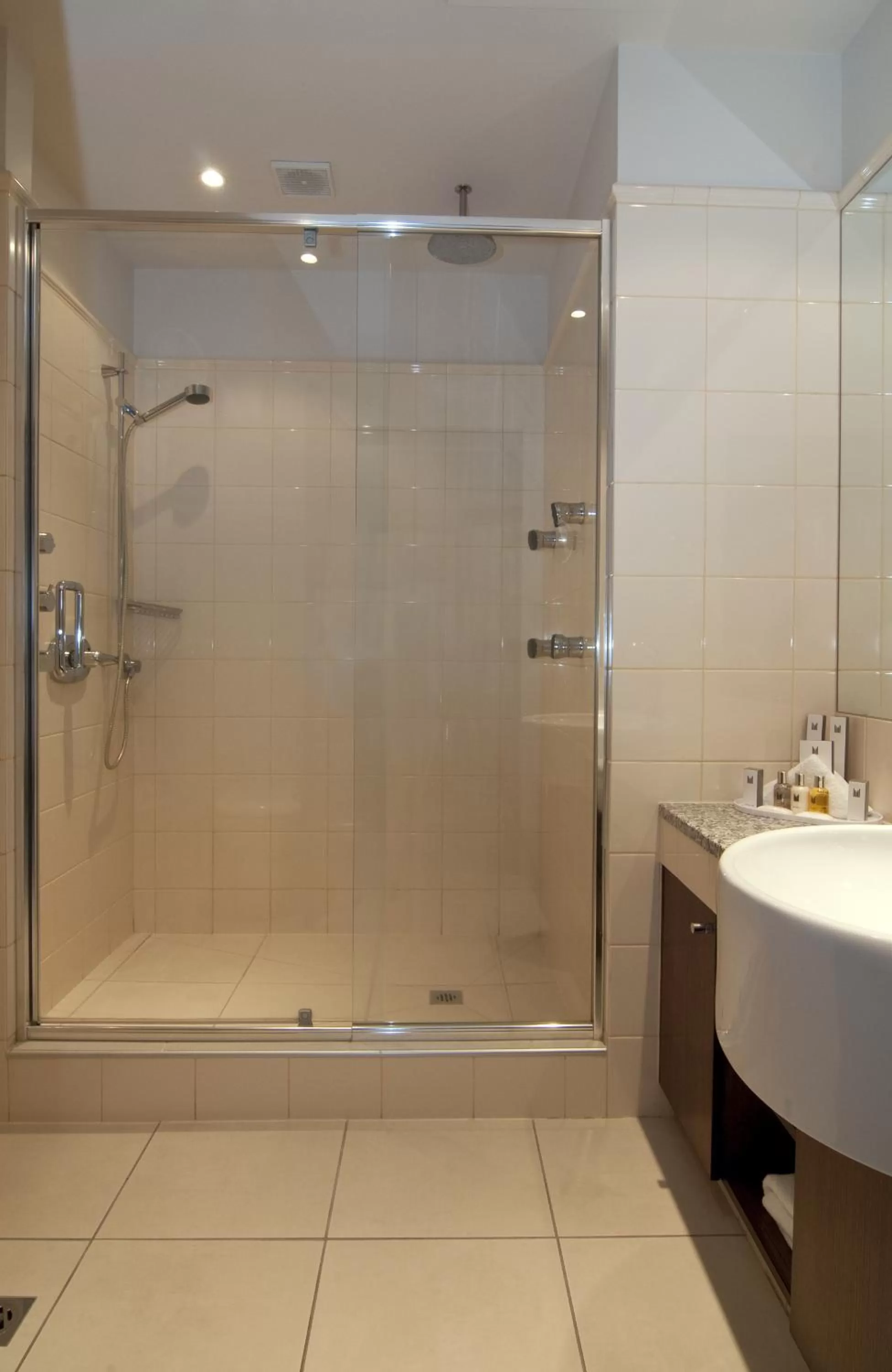 Shower in Millennium Hotel & Resort Manuels Taupo