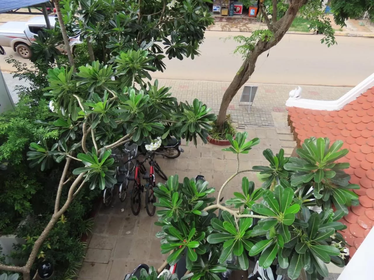 Garden in The Blanc Residence